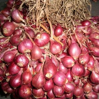 Bawang Merah via Mamrurisirampong.wordpresscom, 1. Kerupuk Tulang Bandeng, 2. Crispy Ikan Serinding, 3. Abon Ikan Bandeng, 4. Ikan Bandeng, 5. Bawang Merah, 6. Kerupuk Rumput Laut, 7. Bawang Goreng, 8. Telur Asin Rasa Udang, 9. Kerupuk Telur Asin Khas Brebes, 10. Terasi Brebes, 11. Ketan Penchok, 12. Batik Brebes, 13. Kerupuk Telur Asin