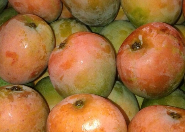 Buah Mangga, 1. Buah Mangga, 2. Dodol Laragudig, 3. Sirup Mangga, 4. Keripik Buah Mangga, 5. Rumbah, 6. Burbacek, 8. Blengep Cotot, 9. Kerupuk Bonggol Pisang, 10. Geblog, 11. Karedok, 12. Pedesan Entok, 13. Dodol Pelem, 14. Wedang Sereh, 15. Cuwing, 16. Orog – orog, 17. Wajik, 18. Mie Ragit, 19. Bubur Gintir, 20. Cimplo, 21. Petis, 22. Lepet, 23. Dongkal, 24. Emping Melinjo, 25. Kerupuk Udang, 26. Terasi, 27. Kerupuk Kulit Ikan, 28. Keripik Tike, 29. Aneka Ikan Asin, 30. Ikan Asin Jambal Roti, 31. Dodol Gula Merah, 32. Dodol Lolos, 33. Serabi, 34. Glintir, 35. Ketan Tutu, 36. Jalabiya, 37. Kue Cikak, 38. Blencong, 39. Pindang Gombyang Manyung, 40. Kaos Kafka Indramayu, 41. Nagasari, 42. Nasi Lengko, 43. Blendung Jagung