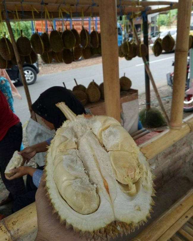 Durian via IG @infomjlk, 1. Oncom Goreng Majalengka, 2. Kalua Jeruk, 3. Kecap Asli Majalengka, 4. Ampas Kecap, 5. Mangga Gedong Gincu Majalengka, 6. Gula Cakar Khas Majalengka, 7. Seblak Basah, 8. Nasi Lengko, 9. Lotek Khas Majalengka, 10. Tutut, 11. Pepes Jeroan, 12. Jalakotek Majalengka, 13. Surabi Oncom Majalengka, 14. Lumpia Basah, 15. Keripik Tempe khas Majalengka, 16. Durian, 17. Duwet (Jamblang) Majalengka, 18. Seroja Gurih, 19. Tekso, 20. Batik khas Majalengka