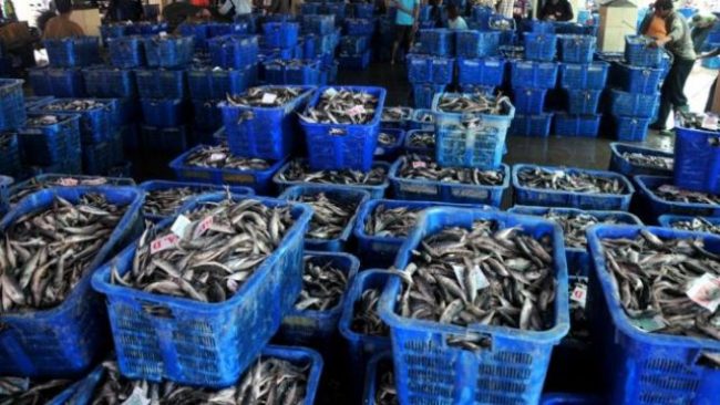 Hasil Laut Segar via Harapan Rakyat, 1. Noga Kelapa Rasa Jahe, 2. Kepiting Soka Krispi, 3. Udang Kering Goreng, 4. Noga Suuk (noga kacang tanah), 5. Ikan Asin Jambal Roti, 6. Gula Merah, 7. Opak (Rengginang Terasi), 9. Hasil Laut Segar, 10. Sawo, 11. Kaos Pantai, 12. Kerajinan Kerang, 13. Ikan Teri, 14. Keripik Cau (keripik pisang), 15. Sale Pisang Pangandaran, 16. Pindang Gunung