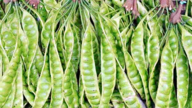 Pete via Harapan Rakyat, 1. Noga Kelapa Rasa Jahe, 2. Kepiting Soka Krispi, 3. Udang Kering Goreng, 4. Noga Suuk (noga kacang tanah), 5. Ikan Asin Jambal Roti, 6. Gula Merah, 7. Opak (Rengginang Terasi), 9. Hasil Laut Segar, 10. Sawo, 11. Kaos Pantai, 12. Kerajinan Kerang, 13. Ikan Teri, 14. Keripik Cau (keripik pisang), 15. Sale Pisang Pangandaran, 16. Pindang Gunung