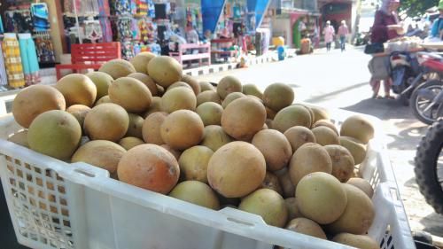 Sawo, 1. Noga Kelapa Rasa Jahe, 2. Kepiting Soka Krispi, 3. Udang Kering Goreng, 4. Noga Suuk (noga kacang tanah), 5. Ikan Asin Jambal Roti, 6. Gula Merah, 7. Opak (Rengginang Terasi), 9. Hasil Laut Segar, 10. Sawo, 11. Kaos Pantai, 12. Kerajinan Kerang, 13. Ikan Teri, 14. Keripik Cau (keripik pisang), 15. Sale Pisang Pangandaran, 16. Pindang Gunung
