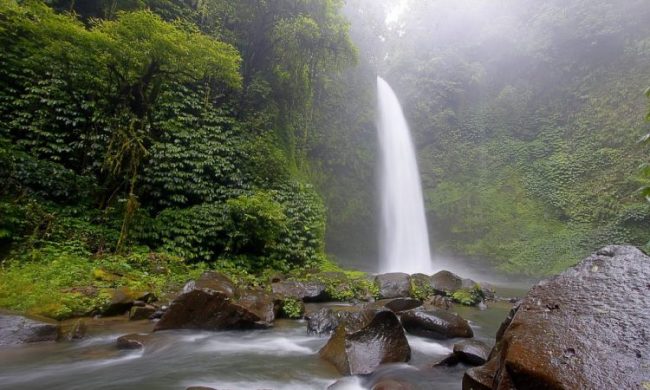 Air Terjun Nungnung via Kintamani, 1. Ekowisata Mangrove Wanasari, 2. Sangeh Monkey Forest, 3. New Kuta Green Park, 4. Circus Waterpark Kuta, 5. Pantai Jerman, 6. Pantai Kelan, 7. Pantai Muaya, 8. Pantai Mimpi Pondok Pemuda, 9. Pantai Tegal Wangi, 10. Pantai Balangan, 11. Tanjung Balangan, 12. Pantai Dreamland, 13. Pantai Pemutih, 14. Pantai Bingin, 15. Pantai Padang – Padang, 16. Pantai Labuan Sait, 18. Pantai Suluban, 19. Pantai Nyang – Nyang, 20. Pantai Nunggalan, 21. Pantai Karma Kandara, 22. Pantai Melasti, 23. Pantai Batu pageh, 24. Pantai Pandawa, 25. Pantai Gunung Payung, 26. Pantai Sawangan, 27. Pantai Geger, 28. Pantai Mengiat, 29. Pantai Segara Samuh, 30. Pantai Selagan Nusa Dua, 31. Pantai Tanjung Benoa, 32. Air Terjun Nungnung, 33. Air Terjun Bidadari Ayung, 34. Sungai Ayung, 35. Air Terjun Batu Lantang, 36. Air Terjun Sulangi, 37. Patung Dewa Ruci, 38. Kawasan Pura Luhur Uluwatu, 39. Pesawat Bengong, 40. Nirmala Waterpark Ungasan, 41. Taman Satria Gatotkaca, 42. Joger Kuta, 43. Penangkaran Penyu Deluang Sari, 44. Taman Budaya Garuda Wisnu Kencana, 45. Bali Paragliding Tandem Flight, 46. Monumen Perjuangan Taman Mumbul, 47. Museum Becak Indonesia, 48. Museum Pasifika, 49. Dream Museum Zone, 50. Museum Kain, 51. Museum Kerang, 52. Museum Yadnya, 53. Hide N Seek, 54. Cubby House Kids Club, 55. Miniapolis Bali, 56. Pantai Timbis, 57. Pantai Dukuh, 58. Puja Mandala, 59. Pura Taman Ayun, 60. Taman Ngurah Rai Tuban, 61. Lembah Tanah Wuk, 62. Taman Mumbul, 63. Pantai Pererenan, 64. Banjar Umalas, 65. Waka Tangga, 66. Wisata Agro Pelaga, 67. Jembatan Tukad Bangkung, 68. Jimbaran Panorama Point, 69. Pura Petitenget, 70. Pantai Petitenget, 71. Pura Pucak Tedung, 72. Pura Sada Kapal, 73. Pura Batu Bolong, 74. Pantai Batu Bolong, 75. Pura Kancing Gumi, 76. Pura Pucak Mangu, 77. Desa Wisata Petang, 78. Ladang Bunga Gumilir, 79. Desa Wisata Baha, 80. Bumi Perkemahan Blahkiuh, 81. Pantai Seseh, 82. Pantai Derawan, 83. Pantai Batu Mejan, 84. Pantai Double Six, 85. Taman Rekreasi Bethesda, 86. Pantai Selasih, 87. Pantai Batu Belig, 88. Pantai Munggu, 89. Pantai Mengening, 90. Pantai Kayu Putih, 91. Pulau Nusa Dharma, 92. Pulau Peninsula, 93. Splash Waterpark, 94. Waterbom Bali, 95. Pantai Legian, 96. Pantai Seminyak, 97. Desa Wisata Bindu, 98. Bali Swing Bongkasa, 99. Elephant Camp Petang