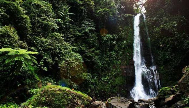 Air Terjun Bertingkat Gitgit, 1. Air Terjun Lembah Jian, 2. Air Terjun Bertingkat Gitgit, 3. Air Panas Banjar, 4. Air Terjun Mekalongan, 5. Air Terjun Lemukih, 6. Air Terjun yeh Mampeh, 7. Air Terjun Melanting, 8. Air Terjun Munduk, 9. Air Terjun Banyumala, 10. Air Terjun Tembok Barak, 11. Air Terjun Aling – Aling, 12. Air Terjun Jambangan, 13. Air Terjun Sekumpul, 14. Air Terjun Carat Kecil, 15. Air Terjun Carat Besar, 16. Bali Handara Kosaido, 17. Air Terjun Kroya, 18. Air Terjun Yeh Salem, 19. Air Terjun Jembong, 20. Air Terjun Wana Ayu, 21. Air Terjun Tinggarsari, 22. Air Terjun Pucak Manik, 23. Air Terjun Sing – Sing, 24. Air Terjun Colek Pamor, 25. Air Terjun Ceburan, 26. Air Terjun Pucuk, 27. Air Terjun Kembar Sambangan, 28. Air Terjun Cemara, 29. Air Terjun Canging, 30. Air Terjun Dedari, 31. Air Terjun Fiji, 32. Air Terjun Bengbengan, 33. Air Terjun Amer Pakisan, 34. Air Terjun Yeh Bayah, 35. Pantai Batu Sungu, 36. Pantai Penuktukan, 37. Pantai Umeanyar, 38. Pantai Penimbangan, 39. Pantai Banyuwedang, 40. Air Panas Banyuwedang, 41. Pantai Gondol, 42. Pantai Pemuteran, 43. Pantai Goris Pejarakan, 44. Pantai Kerobokan, 45. Pantai Lovina, 46. Pantai Batu Ampar Pejarakan, 47. Vihara Buddha Banjar, 48. Pemandian Air Sanih, 49. Taman Nasional Bali Barat, 50. Ex Pelabuhan Buleleng, 51. Danau Buyan, 52. Danau Tamblingan, 53. Ayunan dan Anjungan Wanagiri, 54. Wisata Desa Kuno Sembiran, 55. Pemandangan Sekitar Pura Bukit Pucak Sakti, 56. Wisata Desa Julah, 57. Situs Batu Gambir Upit, 58. Gedong Kirtya, 59. Pantai Celagi Bantes, 60. Pura Ponjok Batu, 61. Museum Buleleng, 62. Rumah Pohon Temega, 63. Desa Wisata Bulian, 64. Krisna Fantastic Land, 65. Pasar Anyar, 66. Pulau Menjangan, 67. Budidaya Mutiara Penyambangan, 68. Pura Dalem Segara Madu, 69. Pura Beji Sangsit, 70. Bukit Batu Kursi, 71. Pulau Putih, 72. Desa Wisata Sidetapa, 73. Desa Wisata Cempage, 74. Kubu Hobbit Pedawa, 75. Menara Bambu Tigawasa, 76. Pantai Sanggalangit, 77. Pantai Pacung, 78. Wisata Selfie Madenan, 79. Air Terjun Bertingkat Silangjana, 80. Pantai Tukad Puyung Bukti, 81. Pantai Anturan, 82. Pemandian Mumbul Anturan, 83. Bendungan Tirab Ularan, 84. Bendungan Gerogak, 85. Terasering Busungbiu, 86. Desa Wisata Bebetin, 87. Air Terjun Seseran, 88. Desa Wisata Kaliasem, 89. Bukit Teletubbies Kubutambahan, 90. Agrowisata Sepang, 91. Desa Wisata Subuk, 92. Air Terjun Umejero, 93. Agrowisata Umejero, 94. Taman Kota Singaraja, 95. Agrowisata Anggur Banyupoh, 96. Pura Pulaki, 97. Pantai Pulaki, 98. Pelabuhan Celukan Bawang, 99. Pantai Sangsit
