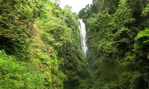 Air Terjun Bertingkat Silangjana via Balitoursclub, 1. Air Terjun Lembah Jian, 2. Air Terjun Bertingkat Gitgit, 3. Air Panas Banjar, 4. Air Terjun Mekalongan, 5. Air Terjun Lemukih, 6. Air Terjun yeh Mampeh, 7. Air Terjun Melanting, 8. Air Terjun Munduk, 9. Air Terjun Banyumala, 10. Air Terjun Tembok Barak, 11. Air Terjun Aling – Aling, 12. Air Terjun Jambangan, 13. Air Terjun Sekumpul, 14. Air Terjun Carat Kecil, 15. Air Terjun Carat Besar, 16. Bali Handara Kosaido, 17. Air Terjun Kroya, 18. Air Terjun Yeh Salem, 19. Air Terjun Jembong, 20. Air Terjun Wana Ayu, 21. Air Terjun Tinggarsari, 22. Air Terjun Pucak Manik, 23. Air Terjun Sing – Sing, 24. Air Terjun Colek Pamor, 25. Air Terjun Ceburan, 26. Air Terjun Pucuk, 27. Air Terjun Kembar Sambangan, 28. Air Terjun Cemara, 29. Air Terjun Canging, 30. Air Terjun Dedari, 31. Air Terjun Fiji, 32. Air Terjun Bengbengan, 33. Air Terjun Amer Pakisan, 34. Air Terjun Yeh Bayah, 35. Pantai Batu Sungu, 36. Pantai Penuktukan, 37. Pantai Umeanyar, 38. Pantai Penimbangan, 39. Pantai Banyuwedang, 40. Air Panas Banyuwedang, 41. Pantai Gondol, 42. Pantai Pemuteran, 43. Pantai Goris Pejarakan, 44. Pantai Kerobokan, 45. Pantai Lovina, 46. Pantai Batu Ampar Pejarakan, 47. Vihara Buddha Banjar, 48. Pemandian Air Sanih, 49. Taman Nasional Bali Barat, 50. Ex Pelabuhan Buleleng, 51. Danau Buyan, 52. Danau Tamblingan, 53. Ayunan dan Anjungan Wanagiri, 54. Wisata Desa Kuno Sembiran, 55. Pemandangan Sekitar Pura Bukit Pucak Sakti, 56. Wisata Desa Julah, 57. Situs Batu Gambir Upit, 58. Gedong Kirtya, 59. Pantai Celagi Bantes, 60. Pura Ponjok Batu, 61. Museum Buleleng, 62. Rumah Pohon Temega, 63. Desa Wisata Bulian, 64. Krisna Fantastic Land, 65. Pasar Anyar, 66. Pulau Menjangan, 67. Budidaya Mutiara Penyambangan, 68. Pura Dalem Segara Madu, 69. Pura Beji Sangsit, 70. Bukit Batu Kursi, 71. Pulau Putih, 72. Desa Wisata Sidetapa, 73. Desa Wisata Cempage, 74. Kubu Hobbit Pedawa, 75. Menara Bambu Tigawasa, 76. Pantai Sanggalangit, 77. Pantai Pacung, 78. Wisata Selfie Madenan, 79. Air Terjun Bertingkat Silangjana, 80. Pantai Tukad Puyung Bukti, 81. Pantai Anturan, 82. Pemandian Mumbul Anturan, 83. Bendungan Tirab Ularan, 84. Bendungan Gerogak, 85. Terasering Busungbiu, 86. Desa Wisata Bebetin, 87. Air Terjun Seseran, 88. Desa Wisata Kaliasem, 89. Bukit Teletubbies Kubutambahan, 90. Agrowisata Sepang, 91. Desa Wisata Subuk, 92. Air Terjun Umejero, 93. Agrowisata Umejero, 94. Taman Kota Singaraja, 95. Agrowisata Anggur Banyupoh, 96. Pura Pulaki, 97. Pantai Pulaki, 98. Pelabuhan Celukan Bawang, 99. Pantai Sangsit