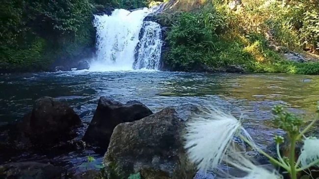 Air Terjun Canging, 1. Air Terjun Lembah Jian, 2. Air Terjun Bertingkat Gitgit, 3. Air Panas Banjar, 4. Air Terjun Mekalongan, 5. Air Terjun Lemukih, 6. Air Terjun yeh Mampeh, 7. Air Terjun Melanting, 8. Air Terjun Munduk, 9. Air Terjun Banyumala, 10. Air Terjun Tembok Barak, 11. Air Terjun Aling – Aling, 12. Air Terjun Jambangan, 13. Air Terjun Sekumpul, 14. Air Terjun Carat Kecil, 15. Air Terjun Carat Besar, 16. Bali Handara Kosaido, 17. Air Terjun Kroya, 18. Air Terjun Yeh Salem, 19. Air Terjun Jembong, 20. Air Terjun Wana Ayu, 21. Air Terjun Tinggarsari, 22. Air Terjun Pucak Manik, 23. Air Terjun Sing – Sing, 24. Air Terjun Colek Pamor, 25. Air Terjun Ceburan, 26. Air Terjun Pucuk, 27. Air Terjun Kembar Sambangan, 28. Air Terjun Cemara, 29. Air Terjun Canging, 30. Air Terjun Dedari, 31. Air Terjun Fiji, 32. Air Terjun Bengbengan, 33. Air Terjun Amer Pakisan, 34. Air Terjun Yeh Bayah, 35. Pantai Batu Sungu, 36. Pantai Penuktukan, 37. Pantai Umeanyar, 38. Pantai Penimbangan, 39. Pantai Banyuwedang, 40. Air Panas Banyuwedang, 41. Pantai Gondol, 42. Pantai Pemuteran, 43. Pantai Goris Pejarakan, 44. Pantai Kerobokan, 45. Pantai Lovina, 46. Pantai Batu Ampar Pejarakan, 47. Vihara Buddha Banjar, 48. Pemandian Air Sanih, 49. Taman Nasional Bali Barat, 50. Ex Pelabuhan Buleleng, 51. Danau Buyan, 52. Danau Tamblingan, 53. Ayunan dan Anjungan Wanagiri, 54. Wisata Desa Kuno Sembiran, 55. Pemandangan Sekitar Pura Bukit Pucak Sakti, 56. Wisata Desa Julah, 57. Situs Batu Gambir Upit, 58. Gedong Kirtya, 59. Pantai Celagi Bantes, 60. Pura Ponjok Batu, 61. Museum Buleleng, 62. Rumah Pohon Temega, 63. Desa Wisata Bulian, 64. Krisna Fantastic Land, 65. Pasar Anyar, 66. Pulau Menjangan, 67. Budidaya Mutiara Penyambangan, 68. Pura Dalem Segara Madu, 69. Pura Beji Sangsit, 70. Bukit Batu Kursi, 71. Pulau Putih, 72. Desa Wisata Sidetapa, 73. Desa Wisata Cempage, 74. Kubu Hobbit Pedawa, 75. Menara Bambu Tigawasa, 76. Pantai Sanggalangit, 77. Pantai Pacung, 78. Wisata Selfie Madenan, 79. Air Terjun Bertingkat Silangjana, 80. Pantai Tukad Puyung Bukti, 81. Pantai Anturan, 82. Pemandian Mumbul Anturan, 83. Bendungan Tirab Ularan, 84. Bendungan Gerogak, 85. Terasering Busungbiu, 86. Desa Wisata Bebetin, 87. Air Terjun Seseran, 88. Desa Wisata Kaliasem, 89. Bukit Teletubbies Kubutambahan, 90. Agrowisata Sepang, 91. Desa Wisata Subuk, 92. Air Terjun Umejero, 93. Agrowisata Umejero, 94. Taman Kota Singaraja, 95. Agrowisata Anggur Banyupoh, 96. Pura Pulaki, 97. Pantai Pulaki, 98. Pelabuhan Celukan Bawang, 99. Pantai Sangsit