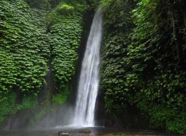 Air Terjun Carat Besar, 1. Air Terjun Lembah Jian, 2. Air Terjun Bertingkat Gitgit, 3. Air Panas Banjar, 4. Air Terjun Mekalongan, 5. Air Terjun Lemukih, 6. Air Terjun yeh Mampeh, 7. Air Terjun Melanting, 8. Air Terjun Munduk, 9. Air Terjun Banyumala, 10. Air Terjun Tembok Barak, 11. Air Terjun Aling – Aling, 12. Air Terjun Jambangan, 13. Air Terjun Sekumpul, 14. Air Terjun Carat Kecil, 15. Air Terjun Carat Besar, 16. Bali Handara Kosaido, 17. Air Terjun Kroya, 18. Air Terjun Yeh Salem, 19. Air Terjun Jembong, 20. Air Terjun Wana Ayu, 21. Air Terjun Tinggarsari, 22. Air Terjun Pucak Manik, 23. Air Terjun Sing – Sing, 24. Air Terjun Colek Pamor, 25. Air Terjun Ceburan, 26. Air Terjun Pucuk, 27. Air Terjun Kembar Sambangan, 28. Air Terjun Cemara, 29. Air Terjun Canging, 30. Air Terjun Dedari, 31. Air Terjun Fiji, 32. Air Terjun Bengbengan, 33. Air Terjun Amer Pakisan, 34. Air Terjun Yeh Bayah, 35. Pantai Batu Sungu, 36. Pantai Penuktukan, 37. Pantai Umeanyar, 38. Pantai Penimbangan, 39. Pantai Banyuwedang, 40. Air Panas Banyuwedang, 41. Pantai Gondol, 42. Pantai Pemuteran, 43. Pantai Goris Pejarakan, 44. Pantai Kerobokan, 45. Pantai Lovina, 46. Pantai Batu Ampar Pejarakan, 47. Vihara Buddha Banjar, 48. Pemandian Air Sanih, 49. Taman Nasional Bali Barat, 50. Ex Pelabuhan Buleleng, 51. Danau Buyan, 52. Danau Tamblingan, 53. Ayunan dan Anjungan Wanagiri, 54. Wisata Desa Kuno Sembiran, 55. Pemandangan Sekitar Pura Bukit Pucak Sakti, 56. Wisata Desa Julah, 57. Situs Batu Gambir Upit, 58. Gedong Kirtya, 59. Pantai Celagi Bantes, 60. Pura Ponjok Batu, 61. Museum Buleleng, 62. Rumah Pohon Temega, 63. Desa Wisata Bulian, 64. Krisna Fantastic Land, 65. Pasar Anyar, 66. Pulau Menjangan, 67. Budidaya Mutiara Penyambangan, 68. Pura Dalem Segara Madu, 69. Pura Beji Sangsit, 70. Bukit Batu Kursi, 71. Pulau Putih, 72. Desa Wisata Sidetapa, 73. Desa Wisata Cempage, 74. Kubu Hobbit Pedawa, 75. Menara Bambu Tigawasa, 76. Pantai Sanggalangit, 77. Pantai Pacung, 78. Wisata Selfie Madenan, 79. Air Terjun Bertingkat Silangjana, 80. Pantai Tukad Puyung Bukti, 81. Pantai Anturan, 82. Pemandian Mumbul Anturan, 83. Bendungan Tirab Ularan, 84. Bendungan Gerogak, 85. Terasering Busungbiu, 86. Desa Wisata Bebetin, 87. Air Terjun Seseran, 88. Desa Wisata Kaliasem, 89. Bukit Teletubbies Kubutambahan, 90. Agrowisata Sepang, 91. Desa Wisata Subuk, 92. Air Terjun Umejero, 93. Agrowisata Umejero, 94. Taman Kota Singaraja, 95. Agrowisata Anggur Banyupoh, 96. Pura Pulaki, 97. Pantai Pulaki, 98. Pelabuhan Celukan Bawang, 99. Pantai Sangsit