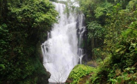 Air Terjun Cemara, 1. Air Terjun Lembah Jian, 2. Air Terjun Bertingkat Gitgit, 3. Air Panas Banjar, 4. Air Terjun Mekalongan, 5. Air Terjun Lemukih, 6. Air Terjun yeh Mampeh, 7. Air Terjun Melanting, 8. Air Terjun Munduk, 9. Air Terjun Banyumala, 10. Air Terjun Tembok Barak, 11. Air Terjun Aling – Aling, 12. Air Terjun Jambangan, 13. Air Terjun Sekumpul, 14. Air Terjun Carat Kecil, 15. Air Terjun Carat Besar, 16. Bali Handara Kosaido, 17. Air Terjun Kroya, 18. Air Terjun Yeh Salem, 19. Air Terjun Jembong, 20. Air Terjun Wana Ayu, 21. Air Terjun Tinggarsari, 22. Air Terjun Pucak Manik, 23. Air Terjun Sing – Sing, 24. Air Terjun Colek Pamor, 25. Air Terjun Ceburan, 26. Air Terjun Pucuk, 27. Air Terjun Kembar Sambangan, 28. Air Terjun Cemara, 29. Air Terjun Canging, 30. Air Terjun Dedari, 31. Air Terjun Fiji, 32. Air Terjun Bengbengan, 33. Air Terjun Amer Pakisan, 34. Air Terjun Yeh Bayah, 35. Pantai Batu Sungu, 36. Pantai Penuktukan, 37. Pantai Umeanyar, 38. Pantai Penimbangan, 39. Pantai Banyuwedang, 40. Air Panas Banyuwedang, 41. Pantai Gondol, 42. Pantai Pemuteran, 43. Pantai Goris Pejarakan, 44. Pantai Kerobokan, 45. Pantai Lovina, 46. Pantai Batu Ampar Pejarakan, 47. Vihara Buddha Banjar, 48. Pemandian Air Sanih, 49. Taman Nasional Bali Barat, 50. Ex Pelabuhan Buleleng, 51. Danau Buyan, 52. Danau Tamblingan, 53. Ayunan dan Anjungan Wanagiri, 54. Wisata Desa Kuno Sembiran, 55. Pemandangan Sekitar Pura Bukit Pucak Sakti, 56. Wisata Desa Julah, 57. Situs Batu Gambir Upit, 58. Gedong Kirtya, 59. Pantai Celagi Bantes, 60. Pura Ponjok Batu, 61. Museum Buleleng, 62. Rumah Pohon Temega, 63. Desa Wisata Bulian, 64. Krisna Fantastic Land, 65. Pasar Anyar, 66. Pulau Menjangan, 67. Budidaya Mutiara Penyambangan, 68. Pura Dalem Segara Madu, 69. Pura Beji Sangsit, 70. Bukit Batu Kursi, 71. Pulau Putih, 72. Desa Wisata Sidetapa, 73. Desa Wisata Cempage, 74. Kubu Hobbit Pedawa, 75. Menara Bambu Tigawasa, 76. Pantai Sanggalangit, 77. Pantai Pacung, 78. Wisata Selfie Madenan, 79. Air Terjun Bertingkat Silangjana, 80. Pantai Tukad Puyung Bukti, 81. Pantai Anturan, 82. Pemandian Mumbul Anturan, 83. Bendungan Tirab Ularan, 84. Bendungan Gerogak, 85. Terasering Busungbiu, 86. Desa Wisata Bebetin, 87. Air Terjun Seseran, 88. Desa Wisata Kaliasem, 89. Bukit Teletubbies Kubutambahan, 90. Agrowisata Sepang, 91. Desa Wisata Subuk, 92. Air Terjun Umejero, 93. Agrowisata Umejero, 94. Taman Kota Singaraja, 95. Agrowisata Anggur Banyupoh, 96. Pura Pulaki, 97. Pantai Pulaki, 98. Pelabuhan Celukan Bawang, 99. Pantai Sangsit