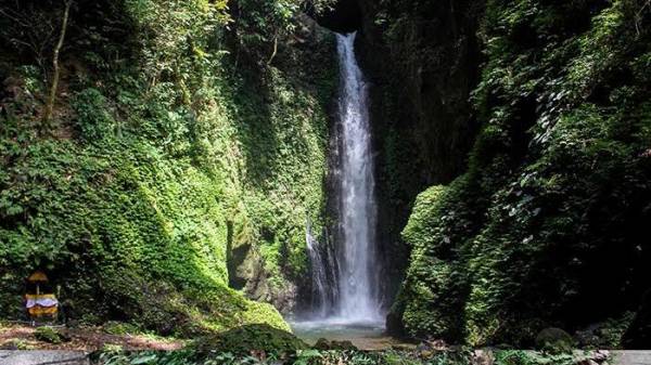 Air Terjun Colek Pamor via Bulelengkab, 1. Air Terjun Lembah Jian, 2. Air Terjun Bertingkat Gitgit, 3. Air Panas Banjar, 4. Air Terjun Mekalongan, 5. Air Terjun Lemukih, 6. Air Terjun yeh Mampeh, 7. Air Terjun Melanting, 8. Air Terjun Munduk, 9. Air Terjun Banyumala, 10. Air Terjun Tembok Barak, 11. Air Terjun Aling – Aling, 12. Air Terjun Jambangan, 13. Air Terjun Sekumpul, 14. Air Terjun Carat Kecil, 15. Air Terjun Carat Besar, 16. Bali Handara Kosaido, 17. Air Terjun Kroya, 18. Air Terjun Yeh Salem, 19. Air Terjun Jembong, 20. Air Terjun Wana Ayu, 21. Air Terjun Tinggarsari, 22. Air Terjun Pucak Manik, 23. Air Terjun Sing – Sing, 24. Air Terjun Colek Pamor, 25. Air Terjun Ceburan, 26. Air Terjun Pucuk, 27. Air Terjun Kembar Sambangan, 28. Air Terjun Cemara, 29. Air Terjun Canging, 30. Air Terjun Dedari, 31. Air Terjun Fiji, 32. Air Terjun Bengbengan, 33. Air Terjun Amer Pakisan, 34. Air Terjun Yeh Bayah, 35. Pantai Batu Sungu, 36. Pantai Penuktukan, 37. Pantai Umeanyar, 38. Pantai Penimbangan, 39. Pantai Banyuwedang, 40. Air Panas Banyuwedang, 41. Pantai Gondol, 42. Pantai Pemuteran, 43. Pantai Goris Pejarakan, 44. Pantai Kerobokan, 45. Pantai Lovina, 46. Pantai Batu Ampar Pejarakan, 47. Vihara Buddha Banjar, 48. Pemandian Air Sanih, 49. Taman Nasional Bali Barat, 50. Ex Pelabuhan Buleleng, 51. Danau Buyan, 52. Danau Tamblingan, 53. Ayunan dan Anjungan Wanagiri, 54. Wisata Desa Kuno Sembiran, 55. Pemandangan Sekitar Pura Bukit Pucak Sakti, 56. Wisata Desa Julah, 57. Situs Batu Gambir Upit, 58. Gedong Kirtya, 59. Pantai Celagi Bantes, 60. Pura Ponjok Batu, 61. Museum Buleleng, 62. Rumah Pohon Temega, 63. Desa Wisata Bulian, 64. Krisna Fantastic Land, 65. Pasar Anyar, 66. Pulau Menjangan, 67. Budidaya Mutiara Penyambangan, 68. Pura Dalem Segara Madu, 69. Pura Beji Sangsit, 70. Bukit Batu Kursi, 71. Pulau Putih, 72. Desa Wisata Sidetapa, 73. Desa Wisata Cempage, 74. Kubu Hobbit Pedawa, 75. Menara Bambu Tigawasa, 76. Pantai Sanggalangit, 77. Pantai Pacung, 78. Wisata Selfie Madenan, 79. Air Terjun Bertingkat Silangjana, 80. Pantai Tukad Puyung Bukti, 81. Pantai Anturan, 82. Pemandian Mumbul Anturan, 83. Bendungan Tirab Ularan, 84. Bendungan Gerogak, 85. Terasering Busungbiu, 86. Desa Wisata Bebetin, 87. Air Terjun Seseran, 88. Desa Wisata Kaliasem, 89. Bukit Teletubbies Kubutambahan, 90. Agrowisata Sepang, 91. Desa Wisata Subuk, 92. Air Terjun Umejero, 93. Agrowisata Umejero, 94. Taman Kota Singaraja, 95. Agrowisata Anggur Banyupoh, 96. Pura Pulaki, 97. Pantai Pulaki, 98. Pelabuhan Celukan Bawang, 99. Pantai Sangsit