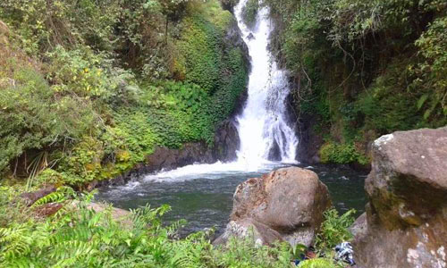 Air Terjun Dedari, 1. Air Terjun Lembah Jian, 2. Air Terjun Bertingkat Gitgit, 3. Air Panas Banjar, 4. Air Terjun Mekalongan, 5. Air Terjun Lemukih, 6. Air Terjun yeh Mampeh, 7. Air Terjun Melanting, 8. Air Terjun Munduk, 9. Air Terjun Banyumala, 10. Air Terjun Tembok Barak, 11. Air Terjun Aling – Aling, 12. Air Terjun Jambangan, 13. Air Terjun Sekumpul, 14. Air Terjun Carat Kecil, 15. Air Terjun Carat Besar, 16. Bali Handara Kosaido, 17. Air Terjun Kroya, 18. Air Terjun Yeh Salem, 19. Air Terjun Jembong, 20. Air Terjun Wana Ayu, 21. Air Terjun Tinggarsari, 22. Air Terjun Pucak Manik, 23. Air Terjun Sing – Sing, 24. Air Terjun Colek Pamor, 25. Air Terjun Ceburan, 26. Air Terjun Pucuk, 27. Air Terjun Kembar Sambangan, 28. Air Terjun Cemara, 29. Air Terjun Canging, 30. Air Terjun Dedari, 31. Air Terjun Fiji, 32. Air Terjun Bengbengan, 33. Air Terjun Amer Pakisan, 34. Air Terjun Yeh Bayah, 35. Pantai Batu Sungu, 36. Pantai Penuktukan, 37. Pantai Umeanyar, 38. Pantai Penimbangan, 39. Pantai Banyuwedang, 40. Air Panas Banyuwedang, 41. Pantai Gondol, 42. Pantai Pemuteran, 43. Pantai Goris Pejarakan, 44. Pantai Kerobokan, 45. Pantai Lovina, 46. Pantai Batu Ampar Pejarakan, 47. Vihara Buddha Banjar, 48. Pemandian Air Sanih, 49. Taman Nasional Bali Barat, 50. Ex Pelabuhan Buleleng, 51. Danau Buyan, 52. Danau Tamblingan, 53. Ayunan dan Anjungan Wanagiri, 54. Wisata Desa Kuno Sembiran, 55. Pemandangan Sekitar Pura Bukit Pucak Sakti, 56. Wisata Desa Julah, 57. Situs Batu Gambir Upit, 58. Gedong Kirtya, 59. Pantai Celagi Bantes, 60. Pura Ponjok Batu, 61. Museum Buleleng, 62. Rumah Pohon Temega, 63. Desa Wisata Bulian, 64. Krisna Fantastic Land, 65. Pasar Anyar, 66. Pulau Menjangan, 67. Budidaya Mutiara Penyambangan, 68. Pura Dalem Segara Madu, 69. Pura Beji Sangsit, 70. Bukit Batu Kursi, 71. Pulau Putih, 72. Desa Wisata Sidetapa, 73. Desa Wisata Cempage, 74. Kubu Hobbit Pedawa, 75. Menara Bambu Tigawasa, 76. Pantai Sanggalangit, 77. Pantai Pacung, 78. Wisata Selfie Madenan, 79. Air Terjun Bertingkat Silangjana, 80. Pantai Tukad Puyung Bukti, 81. Pantai Anturan, 82. Pemandian Mumbul Anturan, 83. Bendungan Tirab Ularan, 84. Bendungan Gerogak, 85. Terasering Busungbiu, 86. Desa Wisata Bebetin, 87. Air Terjun Seseran, 88. Desa Wisata Kaliasem, 89. Bukit Teletubbies Kubutambahan, 90. Agrowisata Sepang, 91. Desa Wisata Subuk, 92. Air Terjun Umejero, 93. Agrowisata Umejero, 94. Taman Kota Singaraja, 95. Agrowisata Anggur Banyupoh, 96. Pura Pulaki, 97. Pantai Pulaki, 98. Pelabuhan Celukan Bawang, 99. Pantai Sangsit