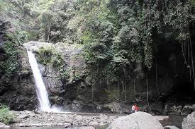 Air Terjun Jambangan via Desa, 1. Air Terjun Lembah Jian, 2. Air Terjun Bertingkat Gitgit, 3. Air Panas Banjar, 4. Air Terjun Mekalongan, 5. Air Terjun Lemukih, 6. Air Terjun yeh Mampeh, 7. Air Terjun Melanting, 8. Air Terjun Munduk, 9. Air Terjun Banyumala, 10. Air Terjun Tembok Barak, 11. Air Terjun Aling – Aling, 12. Air Terjun Jambangan, 13. Air Terjun Sekumpul, 14. Air Terjun Carat Kecil, 15. Air Terjun Carat Besar, 16. Bali Handara Kosaido, 17. Air Terjun Kroya, 18. Air Terjun Yeh Salem, 19. Air Terjun Jembong, 20. Air Terjun Wana Ayu, 21. Air Terjun Tinggarsari, 22. Air Terjun Pucak Manik, 23. Air Terjun Sing – Sing, 24. Air Terjun Colek Pamor, 25. Air Terjun Ceburan, 26. Air Terjun Pucuk, 27. Air Terjun Kembar Sambangan, 28. Air Terjun Cemara, 29. Air Terjun Canging, 30. Air Terjun Dedari, 31. Air Terjun Fiji, 32. Air Terjun Bengbengan, 33. Air Terjun Amer Pakisan, 34. Air Terjun Yeh Bayah, 35. Pantai Batu Sungu, 36. Pantai Penuktukan, 37. Pantai Umeanyar, 38. Pantai Penimbangan, 39. Pantai Banyuwedang, 40. Air Panas Banyuwedang, 41. Pantai Gondol, 42. Pantai Pemuteran, 43. Pantai Goris Pejarakan, 44. Pantai Kerobokan, 45. Pantai Lovina, 46. Pantai Batu Ampar Pejarakan, 47. Vihara Buddha Banjar, 48. Pemandian Air Sanih, 49. Taman Nasional Bali Barat, 50. Ex Pelabuhan Buleleng, 51. Danau Buyan, 52. Danau Tamblingan, 53. Ayunan dan Anjungan Wanagiri, 54. Wisata Desa Kuno Sembiran, 55. Pemandangan Sekitar Pura Bukit Pucak Sakti, 56. Wisata Desa Julah, 57. Situs Batu Gambir Upit, 58. Gedong Kirtya, 59. Pantai Celagi Bantes, 60. Pura Ponjok Batu, 61. Museum Buleleng, 62. Rumah Pohon Temega, 63. Desa Wisata Bulian, 64. Krisna Fantastic Land, 65. Pasar Anyar, 66. Pulau Menjangan, 67. Budidaya Mutiara Penyambangan, 68. Pura Dalem Segara Madu, 69. Pura Beji Sangsit, 70. Bukit Batu Kursi, 71. Pulau Putih, 72. Desa Wisata Sidetapa, 73. Desa Wisata Cempage, 74. Kubu Hobbit Pedawa, 75. Menara Bambu Tigawasa, 76. Pantai Sanggalangit, 77. Pantai Pacung, 78. Wisata Selfie Madenan, 79. Air Terjun Bertingkat Silangjana, 80. Pantai Tukad Puyung Bukti, 81. Pantai Anturan, 82. Pemandian Mumbul Anturan, 83. Bendungan Tirab Ularan, 84. Bendungan Gerogak, 85. Terasering Busungbiu, 86. Desa Wisata Bebetin, 87. Air Terjun Seseran, 88. Desa Wisata Kaliasem, 89. Bukit Teletubbies Kubutambahan, 90. Agrowisata Sepang, 91. Desa Wisata Subuk, 92. Air Terjun Umejero, 93. Agrowisata Umejero, 94. Taman Kota Singaraja, 95. Agrowisata Anggur Banyupoh, 96. Pura Pulaki, 97. Pantai Pulaki, 98. Pelabuhan Celukan Bawang, 99. Pantai Sangsit
