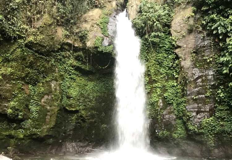 Air Terjun Sulangai via raskitatour, 1. Ekowisata Mangrove Wanasari, 2. Sangeh Monkey Forest, 3. New Kuta Green Park, 4. Circus Waterpark Kuta, 5. Pantai Jerman, 6. Pantai Kelan, 7. Pantai Muaya, 8. Pantai Mimpi Pondok Pemuda, 9. Pantai Tegal Wangi, 10. Pantai Balangan, 11. Tanjung Balangan, 12. Pantai Dreamland, 13. Pantai Pemutih, 14. Pantai Bingin, 15. Pantai Padang – Padang, 16. Pantai Labuan Sait, 18. Pantai Suluban, 19. Pantai Nyang – Nyang, 20. Pantai Nunggalan, 21. Pantai Karma Kandara, 22. Pantai Melasti, 23. Pantai Batu pageh, 24. Pantai Pandawa, 25. Pantai Gunung Payung, 26. Pantai Sawangan, 27. Pantai Geger, 28. Pantai Mengiat, 29. Pantai Segara Samuh, 30. Pantai Selagan Nusa Dua, 31. Pantai Tanjung Benoa, 32. Air Terjun Nungnung, 33. Air Terjun Bidadari Ayung, 34. Sungai Ayung, 35. Air Terjun Batu Lantang, 36. Air Terjun Sulangi, 37. Patung Dewa Ruci, 38. Kawasan Pura Luhur Uluwatu, 39. Pesawat Bengong, 40. Nirmala Waterpark Ungasan, 41. Taman Satria Gatotkaca, 42. Joger Kuta, 43. Penangkaran Penyu Deluang Sari, 44. Taman Budaya Garuda Wisnu Kencana, 45. Bali Paragliding Tandem Flight, 46. Monumen Perjuangan Taman Mumbul, 47. Museum Becak Indonesia, 48. Museum Pasifika, 49. Dream Museum Zone, 50. Museum Kain, 51. Museum Kerang, 52. Museum Yadnya, 53. Hide N Seek, 54. Cubby House Kids Club, 55. Miniapolis Bali, 56. Pantai Timbis, 57. Pantai Dukuh, 58. Puja Mandala, 59. Pura Taman Ayun, 60. Taman Ngurah Rai Tuban, 61. Lembah Tanah Wuk, 62. Taman Mumbul, 63. Pantai Pererenan, 64. Banjar Umalas, 65. Waka Tangga, 66. Wisata Agro Pelaga, 67. Jembatan Tukad Bangkung, 68. Jimbaran Panorama Point, 69. Pura Petitenget, 70. Pantai Petitenget, 71. Pura Pucak Tedung, 72. Pura Sada Kapal, 73. Pura Batu Bolong, 74. Pantai Batu Bolong, 75. Pura Kancing Gumi, 76. Pura Pucak Mangu, 77. Desa Wisata Petang, 78. Ladang Bunga Gumilir, 79. Desa Wisata Baha, 80. Bumi Perkemahan Blahkiuh, 81. Pantai Seseh, 82. Pantai Derawan, 83. Pantai Batu Mejan, 84. Pantai Double Six, 85. Taman Rekreasi Bethesda, 86. Pantai Selasih, 87. Pantai Batu Belig, 88. Pantai Munggu, 89. Pantai Mengening, 90. Pantai Kayu Putih, 91. Pulau Nusa Dharma, 92. Pulau Peninsula, 93. Splash Waterpark, 94. Waterbom Bali, 95. Pantai Legian, 96. Pantai Seminyak, 97. Desa Wisata Bindu, 98. Bali Swing Bongkasa, 99. Elephant Camp Petang