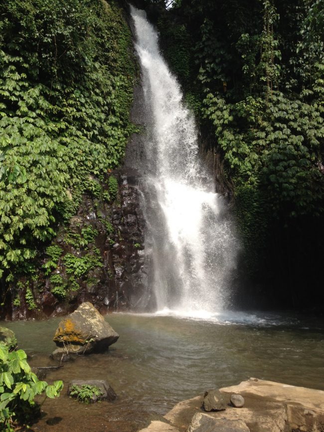 Air Terjun Tinggarsari via Masukkesiniaja.wordpresscom, 1. Air Terjun Lembah Jian, 2. Air Terjun Bertingkat Gitgit, 3. Air Panas Banjar, 4. Air Terjun Mekalongan, 5. Air Terjun Lemukih, 6. Air Terjun yeh Mampeh, 7. Air Terjun Melanting, 8. Air Terjun Munduk, 9. Air Terjun Banyumala, 10. Air Terjun Tembok Barak, 11. Air Terjun Aling – Aling, 12. Air Terjun Jambangan, 13. Air Terjun Sekumpul, 14. Air Terjun Carat Kecil, 15. Air Terjun Carat Besar, 16. Bali Handara Kosaido, 17. Air Terjun Kroya, 18. Air Terjun Yeh Salem, 19. Air Terjun Jembong, 20. Air Terjun Wana Ayu, 21. Air Terjun Tinggarsari, 22. Air Terjun Pucak Manik, 23. Air Terjun Sing – Sing, 24. Air Terjun Colek Pamor, 25. Air Terjun Ceburan, 26. Air Terjun Pucuk, 27. Air Terjun Kembar Sambangan, 28. Air Terjun Cemara, 29. Air Terjun Canging, 30. Air Terjun Dedari, 31. Air Terjun Fiji, 32. Air Terjun Bengbengan, 33. Air Terjun Amer Pakisan, 34. Air Terjun Yeh Bayah, 35. Pantai Batu Sungu, 36. Pantai Penuktukan, 37. Pantai Umeanyar, 38. Pantai Penimbangan, 39. Pantai Banyuwedang, 40. Air Panas Banyuwedang, 41. Pantai Gondol, 42. Pantai Pemuteran, 43. Pantai Goris Pejarakan, 44. Pantai Kerobokan, 45. Pantai Lovina, 46. Pantai Batu Ampar Pejarakan, 47. Vihara Buddha Banjar, 48. Pemandian Air Sanih, 49. Taman Nasional Bali Barat, 50. Ex Pelabuhan Buleleng, 51. Danau Buyan, 52. Danau Tamblingan, 53. Ayunan dan Anjungan Wanagiri, 54. Wisata Desa Kuno Sembiran, 55. Pemandangan Sekitar Pura Bukit Pucak Sakti, 56. Wisata Desa Julah, 57. Situs Batu Gambir Upit, 58. Gedong Kirtya, 59. Pantai Celagi Bantes, 60. Pura Ponjok Batu, 61. Museum Buleleng, 62. Rumah Pohon Temega, 63. Desa Wisata Bulian, 64. Krisna Fantastic Land, 65. Pasar Anyar, 66. Pulau Menjangan, 67. Budidaya Mutiara Penyambangan, 68. Pura Dalem Segara Madu, 69. Pura Beji Sangsit, 70. Bukit Batu Kursi, 71. Pulau Putih, 72. Desa Wisata Sidetapa, 73. Desa Wisata Cempage, 74. Kubu Hobbit Pedawa, 75. Menara Bambu Tigawasa, 76. Pantai Sanggalangit, 77. Pantai Pacung, 78. Wisata Selfie Madenan, 79. Air Terjun Bertingkat Silangjana, 80. Pantai Tukad Puyung Bukti, 81. Pantai Anturan, 82. Pemandian Mumbul Anturan, 83. Bendungan Tirab Ularan, 84. Bendungan Gerogak, 85. Terasering Busungbiu, 86. Desa Wisata Bebetin, 87. Air Terjun Seseran, 88. Desa Wisata Kaliasem, 89. Bukit Teletubbies Kubutambahan, 90. Agrowisata Sepang, 91. Desa Wisata Subuk, 92. Air Terjun Umejero, 93. Agrowisata Umejero, 94. Taman Kota Singaraja, 95. Agrowisata Anggur Banyupoh, 96. Pura Pulaki, 97. Pantai Pulaki, 98. Pelabuhan Celukan Bawang, 99. Pantai Sangsit