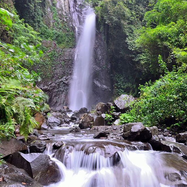 Air Terjun yeh Mampeh via Kintamani, 1. Air Terjun Lembah Jian, 2. Air Terjun Bertingkat Gitgit, 3. Air Panas Banjar, 4. Air Terjun Mekalongan, 5. Air Terjun Lemukih, 6. Air Terjun yeh Mampeh, 7. Air Terjun Melanting, 8. Air Terjun Munduk, 9. Air Terjun Banyumala, 10. Air Terjun Tembok Barak, 11. Air Terjun Aling – Aling, 12. Air Terjun Jambangan, 13. Air Terjun Sekumpul, 14. Air Terjun Carat Kecil, 15. Air Terjun Carat Besar, 16. Bali Handara Kosaido, 17. Air Terjun Kroya, 18. Air Terjun Yeh Salem, 19. Air Terjun Jembong, 20. Air Terjun Wana Ayu, 21. Air Terjun Tinggarsari, 22. Air Terjun Pucak Manik, 23. Air Terjun Sing – Sing, 24. Air Terjun Colek Pamor, 25. Air Terjun Ceburan, 26. Air Terjun Pucuk, 27. Air Terjun Kembar Sambangan, 28. Air Terjun Cemara, 29. Air Terjun Canging, 30. Air Terjun Dedari, 31. Air Terjun Fiji, 32. Air Terjun Bengbengan, 33. Air Terjun Amer Pakisan, 34. Air Terjun Yeh Bayah, 35. Pantai Batu Sungu, 36. Pantai Penuktukan, 37. Pantai Umeanyar, 38. Pantai Penimbangan, 39. Pantai Banyuwedang, 40. Air Panas Banyuwedang, 41. Pantai Gondol, 42. Pantai Pemuteran, 43. Pantai Goris Pejarakan, 44. Pantai Kerobokan, 45. Pantai Lovina, 46. Pantai Batu Ampar Pejarakan, 47. Vihara Buddha Banjar, 48. Pemandian Air Sanih, 49. Taman Nasional Bali Barat, 50. Ex Pelabuhan Buleleng, 51. Danau Buyan, 52. Danau Tamblingan, 53. Ayunan dan Anjungan Wanagiri, 54. Wisata Desa Kuno Sembiran, 55. Pemandangan Sekitar Pura Bukit Pucak Sakti, 56. Wisata Desa Julah, 57. Situs Batu Gambir Upit, 58. Gedong Kirtya, 59. Pantai Celagi Bantes, 60. Pura Ponjok Batu, 61. Museum Buleleng, 62. Rumah Pohon Temega, 63. Desa Wisata Bulian, 64. Krisna Fantastic Land, 65. Pasar Anyar, 66. Pulau Menjangan, 67. Budidaya Mutiara Penyambangan, 68. Pura Dalem Segara Madu, 69. Pura Beji Sangsit, 70. Bukit Batu Kursi, 71. Pulau Putih, 72. Desa Wisata Sidetapa, 73. Desa Wisata Cempage, 74. Kubu Hobbit Pedawa, 75. Menara Bambu Tigawasa, 76. Pantai Sanggalangit, 77. Pantai Pacung, 78. Wisata Selfie Madenan, 79. Air Terjun Bertingkat Silangjana, 80. Pantai Tukad Puyung Bukti, 81. Pantai Anturan, 82. Pemandian Mumbul Anturan, 83. Bendungan Tirab Ularan, 84. Bendungan Gerogak, 85. Terasering Busungbiu, 86. Desa Wisata Bebetin, 87. Air Terjun Seseran, 88. Desa Wisata Kaliasem, 89. Bukit Teletubbies Kubutambahan, 90. Agrowisata Sepang, 91. Desa Wisata Subuk, 92. Air Terjun Umejero, 93. Agrowisata Umejero, 94. Taman Kota Singaraja, 95. Agrowisata Anggur Banyupoh, 96. Pura Pulaki, 97. Pantai Pulaki, 98. Pelabuhan Celukan Bawang, 99. Pantai Sangsit