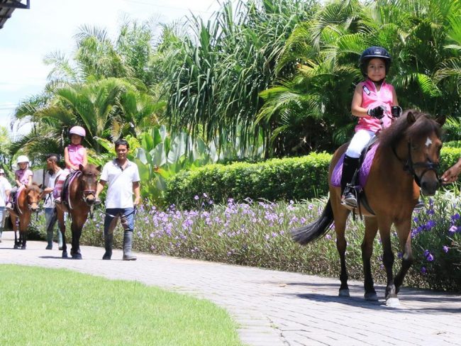 Bali Equestrian Center via Justgola, 1. Ekowisata Mangrove Wanasari, 2. Sangeh Monkey Forest, 3. New Kuta Green Park, 4. Circus Waterpark Kuta, 5. Pantai Jerman, 6. Pantai Kelan, 7. Pantai Muaya, 8. Pantai Mimpi Pondok Pemuda, 9. Pantai Tegal Wangi, 10. Pantai Balangan, 11. Tanjung Balangan, 12. Pantai Dreamland, 13. Pantai Pemutih, 14. Pantai Bingin, 15. Pantai Padang – Padang, 16. Pantai Labuan Sait, 18. Pantai Suluban, 19. Pantai Nyang – Nyang, 20. Pantai Nunggalan, 21. Pantai Karma Kandara, 22. Pantai Melasti, 23. Pantai Batu pageh, 24. Pantai Pandawa, 25. Pantai Gunung Payung, 26. Pantai Sawangan, 27. Pantai Geger, 28. Pantai Mengiat, 29. Pantai Segara Samuh, 30. Pantai Selagan Nusa Dua, 31. Pantai Tanjung Benoa, 32. Air Terjun Nungnung, 33. Air Terjun Bidadari Ayung, 34. Sungai Ayung, 35. Air Terjun Batu Lantang, 36. Air Terjun Sulangi, 37. Patung Dewa Ruci, 38. Kawasan Pura Luhur Uluwatu, 39. Pesawat Bengong, 40. Nirmala Waterpark Ungasan, 41. Taman Satria Gatotkaca, 42. Joger Kuta, 43. Penangkaran Penyu Deluang Sari, 44. Taman Budaya Garuda Wisnu Kencana, 45. Bali Paragliding Tandem Flight, 46. Monumen Perjuangan Taman Mumbul, 47. Museum Becak Indonesia, 48. Museum Pasifika, 49. Dream Museum Zone, 50. Museum Kain, 51. Museum Kerang, 52. Museum Yadnya, 53. Hide N Seek, 54. Cubby House Kids Club, 55. Miniapolis Bali, 56. Pantai Timbis, 57. Pantai Dukuh, 58. Puja Mandala, 59. Pura Taman Ayun, 60. Taman Ngurah Rai Tuban, 61. Lembah Tanah Wuk, 62. Taman Mumbul, 63. Pantai Pererenan, 64. Banjar Umalas, 65. Waka Tangga, 66. Wisata Agro Pelaga, 67. Jembatan Tukad Bangkung, 68. Jimbaran Panorama Point, 69. Pura Petitenget, 70. Pantai Petitenget, 71. Pura Pucak Tedung, 72. Pura Sada Kapal, 73. Pura Batu Bolong, 74. Pantai Batu Bolong, 75. Pura Kancing Gumi, 76. Pura Pucak Mangu, 77. Desa Wisata Petang, 78. Ladang Bunga Gumilir, 79. Desa Wisata Baha, 80. Bumi Perkemahan Blahkiuh, 81. Pantai Seseh, 82. Pantai Derawan, 83. Pantai Batu Mejan, 84. Pantai Double Six, 85. Taman Rekreasi Bethesda, 86. Pantai Selasih, 87. Pantai Batu Belig, 88. Pantai Munggu, 89. Pantai Mengening, 90. Pantai Kayu Putih, 91. Pulau Nusa Dharma, 92. Pulau Peninsula, 93. Splash Waterpark, 94. Waterbom Bali, 95. Pantai Legian, 96. Pantai Seminyak, 97. Desa Wisata Bindu, 98. Bali Swing Bongkasa, 99. Elephant Camp Petang
