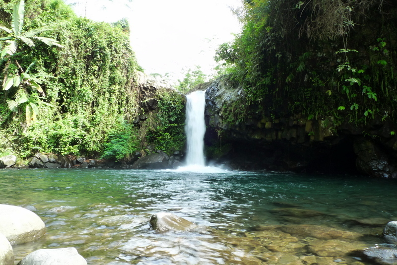 Curug Gede via Trendpurwokerto, 1. Miniatur Dunia Purwokerto, 2. Baturaden, 3. Baturraden Adventure Forest, 4. Pancuran 3, 5. Kebun Raya Baturraden, 6. Pancuran 7, 7. Goa Sarabadak, 8. Telaga Sunyi, 9. Curug Telu, 10. Bukit Bintang Baturraden, 11. Curug Bayan, 12. Curug Ceheng, 13. Curug Kedung Lesung, 14. Curug Nangga, 15. Curug Cipendok, 16. Hutan Pinus Limpakuwus, 17. Curug Jenggala Kalipagu, 18. Air Terjun Baturaden GandaTapa, 19. Curug Gede, 20. Curug Gomblang, 21. Desa Wisata Ketenger, 22. Gunung Slamet, 23. Bukit Pandang Munggang, 24. Bukit Watu Meja, 25. Sendang Bidadari, 26. Kebun Bunga Matahari Rempoah, 27. Bukit Agaran, 28. Bukit Tranggulasih, 29. Puncak Dinar, 30. Bukit Gadog, 31. Lokawisata Baturaden, 32. Mandala Wisata Baturaden, 33. Dreamland Waterpark Ajibarang, 34. Alun – alun Purwokerto, 35. Taman Rekreasi Andhang Pangrenan, 36. Kebun Ku Waterpark, 37. Taman Satria, 38. Taman Balai Kemambang, 39. Wisata Batur Agung, 40. Museum Bank Rakyat Indonesia, 41. Museum Wayang Sendang Mas, 42. Monumen Gatot Subroto, 43. Monumen Sepoer, 44. Monument dan Museum Panglima Besar Jenderal Soedirman, 45. Masjid Saka Tunggal Banyumas, 46. Makam Panembahan Kalibening, 47. Klenteng Hok Tek Bio Pasar Wage, 48. Gua Maria Kaliori, 49. Telaga Pucung, 50. Depo Bay Depo Pelita, 51. Wisata Husada Kalibacin, 52. Bendung Gerak Serayu Gambarsari, 53. Curug Carang, 54. Curug Cidadap Semaya, 55. Curug Wanasuta, 56. Curug Jumeneng, 57. Curug Kembar, 58. Curug Lawa, 59. Curug Lima Kedungbanteng, 60. Curug Penganten Baturaden, 61. Curug Sebrangan, 62. Curug Tebela, 63. Curug Urang, 64. Rumah Pohon Puncak Selok, 65. Curug Grenjang, 66. Curug Lawang, 67. Curug Juneng