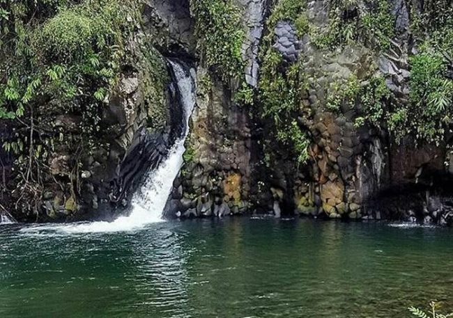 Curug Grenjang via IG @desmiatikartika, 1. Miniatur Dunia Purwokerto, 2. Baturaden, 3. Baturraden Adventure Forest, 4. Pancuran 3, 5. Kebun Raya Baturraden, 6. Pancuran 7, 7. Goa Sarabadak, 8. Telaga Sunyi, 9. Curug Telu, 10. Bukit Bintang Baturraden, 11. Curug Bayan, 12. Curug Ceheng, 13. Curug Kedung Lesung, 14. Curug Nangga, 15. Curug Cipendok, 16. Hutan Pinus Limpakuwus, 17. Curug Jenggala Kalipagu, 18. Air Terjun Baturaden GandaTapa, 19. Curug Gede, 20. Curug Gomblang, 21. Desa Wisata Ketenger, 22. Gunung Slamet, 23. Bukit Pandang Munggang, 24. Bukit Watu Meja, 25. Sendang Bidadari, 26. Kebun Bunga Matahari Rempoah, 27. Bukit Agaran, 28. Bukit Tranggulasih, 29. Puncak Dinar, 30. Bukit Gadog, 31. Lokawisata Baturaden, 32. Mandala Wisata Baturaden, 33. Dreamland Waterpark Ajibarang, 34. Alun – alun Purwokerto, 35. Taman Rekreasi Andhang Pangrenan, 36. Kebun Ku Waterpark, 37. Taman Satria, 38. Taman Balai Kemambang, 39. Wisata Batur Agung, 40. Museum Bank Rakyat Indonesia, 41. Museum Wayang Sendang Mas, 42. Monumen Gatot Subroto, 43. Monumen Sepoer, 44. Monument dan Museum Panglima Besar Jenderal Soedirman, 45. Masjid Saka Tunggal Banyumas, 46. Makam Panembahan Kalibening, 47. Klenteng Hok Tek Bio Pasar Wage, 48. Gua Maria Kaliori, 49. Telaga Pucung, 50. Depo Bay Depo Pelita, 51. Wisata Husada Kalibacin, 52. Bendung Gerak Serayu Gambarsari, 53. Curug Carang, 54. Curug Cidadap Semaya, 55. Curug Wanasuta, 56. Curug Jumeneng, 57. Curug Kembar, 58. Curug Lawa, 59. Curug Lima Kedungbanteng, 60. Curug Penganten Baturaden, 61. Curug Sebrangan, 62. Curug Tebela, 63. Curug Urang, 64. Rumah Pohon Puncak Selok, 65. Curug Grenjang, 66. Curug Lawang, 67. Curug Juneng