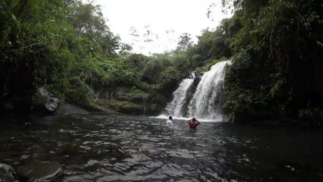 Curug Kembar via Youtube, 1. Miniatur Dunia Purwokerto, 2. Baturaden, 3. Baturraden Adventure Forest, 4. Pancuran 3, 5. Kebun Raya Baturraden, 6. Pancuran 7, 7. Goa Sarabadak, 8. Telaga Sunyi, 9. Curug Telu, 10. Bukit Bintang Baturraden, 11. Curug Bayan, 12. Curug Ceheng, 13. Curug Kedung Lesung, 14. Curug Nangga, 15. Curug Cipendok, 16. Hutan Pinus Limpakuwus, 17. Curug Jenggala Kalipagu, 18. Air Terjun Baturaden GandaTapa, 19. Curug Gede, 20. Curug Gomblang, 21. Desa Wisata Ketenger, 22. Gunung Slamet, 23. Bukit Pandang Munggang, 24. Bukit Watu Meja, 25. Sendang Bidadari, 26. Kebun Bunga Matahari Rempoah, 27. Bukit Agaran, 28. Bukit Tranggulasih, 29. Puncak Dinar, 30. Bukit Gadog, 31. Lokawisata Baturaden, 32. Mandala Wisata Baturaden, 33. Dreamland Waterpark Ajibarang, 34. Alun – alun Purwokerto, 35. Taman Rekreasi Andhang Pangrenan, 36. Kebun Ku Waterpark, 37. Taman Satria, 38. Taman Balai Kemambang, 39. Wisata Batur Agung, 40. Museum Bank Rakyat Indonesia, 41. Museum Wayang Sendang Mas, 42. Monumen Gatot Subroto, 43. Monumen Sepoer, 44. Monument dan Museum Panglima Besar Jenderal Soedirman, 45. Masjid Saka Tunggal Banyumas, 46. Makam Panembahan Kalibening, 47. Klenteng Hok Tek Bio Pasar Wage, 48. Gua Maria Kaliori, 49. Telaga Pucung, 50. Depo Bay Depo Pelita, 51. Wisata Husada Kalibacin, 52. Bendung Gerak Serayu Gambarsari, 53. Curug Carang, 54. Curug Cidadap Semaya, 55. Curug Wanasuta, 56. Curug Jumeneng, 57. Curug Kembar, 58. Curug Lawa, 59. Curug Lima Kedungbanteng, 60. Curug Penganten Baturaden, 61. Curug Sebrangan, 62. Curug Tebela, 63. Curug Urang, 64. Rumah Pohon Puncak Selok, 65. Curug Grenjang, 66. Curug Lawang, 67. Curug Juneng