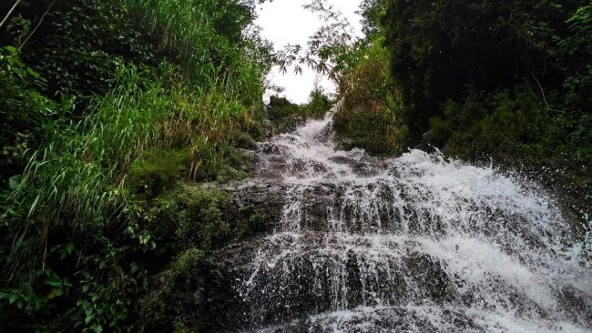 Curug Wanasuta via Ksmtour, 1. Miniatur Dunia Purwokerto, 2. Baturaden, 3. Baturraden Adventure Forest, 4. Pancuran 3, 5. Kebun Raya Baturraden, 6. Pancuran 7, 7. Goa Sarabadak, 8. Telaga Sunyi, 9. Curug Telu, 10. Bukit Bintang Baturraden, 11. Curug Bayan, 12. Curug Ceheng, 13. Curug Kedung Lesung, 14. Curug Nangga, 15. Curug Cipendok, 16. Hutan Pinus Limpakuwus, 17. Curug Jenggala Kalipagu, 18. Air Terjun Baturaden GandaTapa, 19. Curug Gede, 20. Curug Gomblang, 21. Desa Wisata Ketenger, 22. Gunung Slamet, 23. Bukit Pandang Munggang, 24. Bukit Watu Meja, 25. Sendang Bidadari, 26. Kebun Bunga Matahari Rempoah, 27. Bukit Agaran, 28. Bukit Tranggulasih, 29. Puncak Dinar, 30. Bukit Gadog, 31. Lokawisata Baturaden, 32. Mandala Wisata Baturaden, 33. Dreamland Waterpark Ajibarang, 34. Alun – alun Purwokerto, 35. Taman Rekreasi Andhang Pangrenan, 36. Kebun Ku Waterpark, 37. Taman Satria, 38. Taman Balai Kemambang, 39. Wisata Batur Agung, 40. Museum Bank Rakyat Indonesia, 41. Museum Wayang Sendang Mas, 42. Monumen Gatot Subroto, 43. Monumen Sepoer, 44. Monument dan Museum Panglima Besar Jenderal Soedirman, 45. Masjid Saka Tunggal Banyumas, 46. Makam Panembahan Kalibening, 47. Klenteng Hok Tek Bio Pasar Wage, 48. Gua Maria Kaliori, 49. Telaga Pucung, 50. Depo Bay Depo Pelita, 51. Wisata Husada Kalibacin, 52. Bendung Gerak Serayu Gambarsari, 53. Curug Carang, 54. Curug Cidadap Semaya, 55. Curug Wanasuta, 56. Curug Jumeneng, 57. Curug Kembar, 58. Curug Lawa, 59. Curug Lima Kedungbanteng, 60. Curug Penganten Baturaden, 61. Curug Sebrangan, 62. Curug Tebela, 63. Curug Urang, 64. Rumah Pohon Puncak Selok, 65. Curug Grenjang, 66. Curug Lawang, 67. Curug Juneng