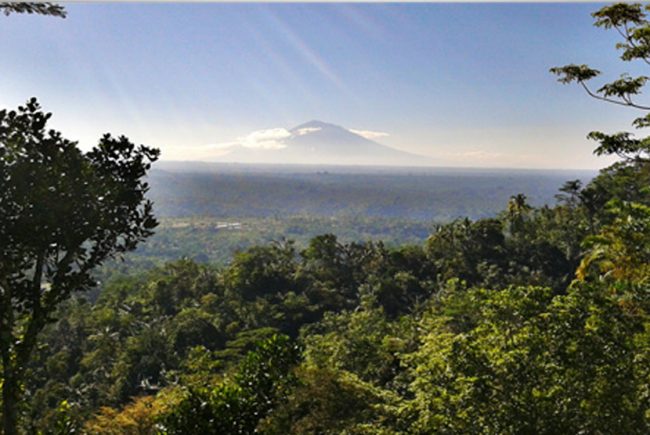 Desa Wisata Petang via Kintamani, 1. Ekowisata Mangrove Wanasari, 2. Sangeh Monkey Forest, 3. New Kuta Green Park, 4. Circus Waterpark Kuta, 5. Pantai Jerman, 6. Pantai Kelan, 7. Pantai Muaya, 8. Pantai Mimpi Pondok Pemuda, 9. Pantai Tegal Wangi, 10. Pantai Balangan, 11. Tanjung Balangan, 12. Pantai Dreamland, 13. Pantai Pemutih, 14. Pantai Bingin, 15. Pantai Padang – Padang, 16. Pantai Labuan Sait, 18. Pantai Suluban, 19. Pantai Nyang – Nyang, 20. Pantai Nunggalan, 21. Pantai Karma Kandara, 22. Pantai Melasti, 23. Pantai Batu pageh, 24. Pantai Pandawa, 25. Pantai Gunung Payung, 26. Pantai Sawangan, 27. Pantai Geger, 28. Pantai Mengiat, 29. Pantai Segara Samuh, 30. Pantai Selagan Nusa Dua, 31. Pantai Tanjung Benoa, 32. Air Terjun Nungnung, 33. Air Terjun Bidadari Ayung, 34. Sungai Ayung, 35. Air Terjun Batu Lantang, 36. Air Terjun Sulangi, 37. Patung Dewa Ruci, 38. Kawasan Pura Luhur Uluwatu, 39. Pesawat Bengong, 40. Nirmala Waterpark Ungasan, 41. Taman Satria Gatotkaca, 42. Joger Kuta, 43. Penangkaran Penyu Deluang Sari, 44. Taman Budaya Garuda Wisnu Kencana, 45. Bali Paragliding Tandem Flight, 46. Monumen Perjuangan Taman Mumbul, 47. Museum Becak Indonesia, 48. Museum Pasifika, 49. Dream Museum Zone, 50. Museum Kain, 51. Museum Kerang, 52. Museum Yadnya, 53. Hide N Seek, 54. Cubby House Kids Club, 55. Miniapolis Bali, 56. Pantai Timbis, 57. Pantai Dukuh, 58. Puja Mandala, 59. Pura Taman Ayun, 60. Taman Ngurah Rai Tuban, 61. Lembah Tanah Wuk, 62. Taman Mumbul, 63. Pantai Pererenan, 64. Banjar Umalas, 65. Waka Tangga, 66. Wisata Agro Pelaga, 67. Jembatan Tukad Bangkung, 68. Jimbaran Panorama Point, 69. Pura Petitenget, 70. Pantai Petitenget, 71. Pura Pucak Tedung, 72. Pura Sada Kapal, 73. Pura Batu Bolong, 74. Pantai Batu Bolong, 75. Pura Kancing Gumi, 76. Pura Pucak Mangu, 77. Desa Wisata Petang, 78. Ladang Bunga Gumilir, 79. Desa Wisata Baha, 80. Bumi Perkemahan Blahkiuh, 81. Pantai Seseh, 82. Pantai Derawan, 83. Pantai Batu Mejan, 84. Pantai Double Six, 85. Taman Rekreasi Bethesda, 86. Pantai Selasih, 87. Pantai Batu Belig, 88. Pantai Munggu, 89. Pantai Mengening, 90. Pantai Kayu Putih, 91. Pulau Nusa Dharma, 92. Pulau Peninsula, 93. Splash Waterpark, 94. Waterbom Bali, 95. Pantai Legian, 96. Pantai Seminyak, 97. Desa Wisata Bindu, 98. Bali Swing Bongkasa, 99. Elephant Camp Petang