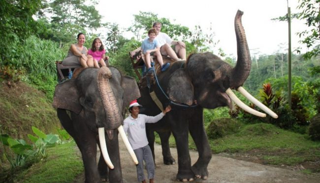 Elephant Camp Petang via Bali 99 tour, 1. Ekowisata Mangrove Wanasari, 2. Sangeh Monkey Forest, 3. New Kuta Green Park, 4. Circus Waterpark Kuta, 5. Pantai Jerman, 6. Pantai Kelan, 7. Pantai Muaya, 8. Pantai Mimpi Pondok Pemuda, 9. Pantai Tegal Wangi, 10. Pantai Balangan, 11. Tanjung Balangan, 12. Pantai Dreamland, 13. Pantai Pemutih, 14. Pantai Bingin, 15. Pantai Padang – Padang, 16. Pantai Labuan Sait, 18. Pantai Suluban, 19. Pantai Nyang – Nyang, 20. Pantai Nunggalan, 21. Pantai Karma Kandara, 22. Pantai Melasti, 23. Pantai Batu pageh, 24. Pantai Pandawa, 25. Pantai Gunung Payung, 26. Pantai Sawangan, 27. Pantai Geger, 28. Pantai Mengiat, 29. Pantai Segara Samuh, 30. Pantai Selagan Nusa Dua, 31. Pantai Tanjung Benoa, 32. Air Terjun Nungnung, 33. Air Terjun Bidadari Ayung, 34. Sungai Ayung, 35. Air Terjun Batu Lantang, 36. Air Terjun Sulangi, 37. Patung Dewa Ruci, 38. Kawasan Pura Luhur Uluwatu, 39. Pesawat Bengong, 40. Nirmala Waterpark Ungasan, 41. Taman Satria Gatotkaca, 42. Joger Kuta, 43. Penangkaran Penyu Deluang Sari, 44. Taman Budaya Garuda Wisnu Kencana, 45. Bali Paragliding Tandem Flight, 46. Monumen Perjuangan Taman Mumbul, 47. Museum Becak Indonesia, 48. Museum Pasifika, 49. Dream Museum Zone, 50. Museum Kain, 51. Museum Kerang, 52. Museum Yadnya, 53. Hide N Seek, 54. Cubby House Kids Club, 55. Miniapolis Bali, 56. Pantai Timbis, 57. Pantai Dukuh, 58. Puja Mandala, 59. Pura Taman Ayun, 60. Taman Ngurah Rai Tuban, 61. Lembah Tanah Wuk, 62. Taman Mumbul, 63. Pantai Pererenan, 64. Banjar Umalas, 65. Waka Tangga, 66. Wisata Agro Pelaga, 67. Jembatan Tukad Bangkung, 68. Jimbaran Panorama Point, 69. Pura Petitenget, 70. Pantai Petitenget, 71. Pura Pucak Tedung, 72. Pura Sada Kapal, 73. Pura Batu Bolong, 74. Pantai Batu Bolong, 75. Pura Kancing Gumi, 76. Pura Pucak Mangu, 77. Desa Wisata Petang, 78. Ladang Bunga Gumilir, 79. Desa Wisata Baha, 80. Bumi Perkemahan Blahkiuh, 81. Pantai Seseh, 82. Pantai Derawan, 83. Pantai Batu Mejan, 84. Pantai Double Six, 85. Taman Rekreasi Bethesda, 86. Pantai Selasih, 87. Pantai Batu Belig, 88. Pantai Munggu, 89. Pantai Mengening, 90. Pantai Kayu Putih, 91. Pulau Nusa Dharma, 92. Pulau Peninsula, 93. Splash Waterpark, 94. Waterbom Bali, 95. Pantai Legian, 96. Pantai Seminyak, 97. Desa Wisata Bindu, 98. Bali Swing Bongkasa, 99. Elephant Camp Petang