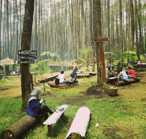 HUtan Pinus Pal 16 via IG @rachmanharyanto, 1. Farm House Susu Lembang, 2. Floating Market, Lembang, 3. Orchid Forest, 4. Dusun Bambu, 5. Dago Dream Park, 6. Terminal Wisata Grafika Cikole, 7. Kebun Bunga Begonia, 8. De Ranch, 9. Tebing Keraton, 10. The Lodge Maribaya, 11. Gunung Tangkuban Perahu, 12. Hutan Pinus PAL 16, 13. Stone Garden Citatah, 14. Gunung Putri, 15. Taman Lembah Dewata, 16. Jendela Alam, 17. Natural Hill, 18. Tafso Barn, 19. Curug Tilu Leuwi Opat, 20. Curug Layung &amp; Camping Ground, 21. Gantolle Paralayang Singajaya Cihampelas, 22. Puncak Eurad Pingping, 23. Danau Sanghyang Heuleut, 24. Sendang Geulis Kahuripan, 25. Gunung Batu, 26. Goa Pawon, 27. Curug Cimahi atau Curug Pelangi, 28. Tebing Citatah, 29. Gunung Bendera Padalarang, 30. Maribaya Natural Hot Spring Resort &amp; Glamping Tent, 31. Curug Malela, 32. Curug Penganten, 33. Pine Forest Camp, 34. Danau Wakadobol Batujajar, 35. Gunung Hawu, 36. Kebun Teh Sukawana, 37. Curug Aseupan, 38. Curug Bugbrug, 39. Wana Wisata Pasir Ipis, 40. Sungai Cikahuripan, Green Canyonnya Bandung, 41. Curug Ngebul, 42. Pemandian Air Panas Nagrak, 43. Ganesha H Equestrian, 44. Curug Buana Rongga, 45. Curug Omas, 46. Curug Sumpel, 47. Curug Kuya, 48. Curug Katumiri