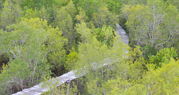 Hutan Mangrove Magepanda via Floresa, 1. Pantai Koka, 2. Taman Kota Maumere, 3. Tanjung Kajuwulu, 4. Pintar Asia Beach, 5. Pantai Wairterang, 6. Bukit Nilo – Taman Doa Maria Bunda Segala Bangsa, 7. Maumere Dive Journey DC, 8. Pantai Waiara – Pantai Betesda, 9. Hutan Mangrove Magepanda, 10. Taman Replica Betlehem Nelle, 11. Desa Doka, 12. Museum Bikon Blewut, 13. Pantai Paga, 14. Pantai pasir putih Doreng, 15. Gunung Rokatenda, 16. Kampung Beru, 17. Pulau Kojadoi, 18. Pulau Pangabatang, 19. Gunung Egon, 20. Pemandian Air Panas Blidit, 21. Bukit Tanjung Kolisia Ntt, 22. Air Terjun Murusobe, 23. Pantai Waturia, 24. Bukit Batu Purba, 25. Pulau Karang Taka Mbo Minang, Wolomarang, 26. Situs Jong Dobo, 27. Bukit Nangarasong