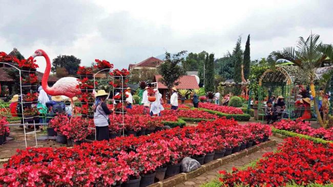 Kebun Bunga Begonia, 1. Sendang Geulis Kahuripan, 2. Curug Pelangi, 3. Stone Garden, 4. Curug Malela, 5. Taman Begonia, 6. Terminal Grafika, 7. Dusun Bambu Lembang, 8. Situ Lembang, 9. Alam Wisata Cimahi, 10. Balitsa Lembang