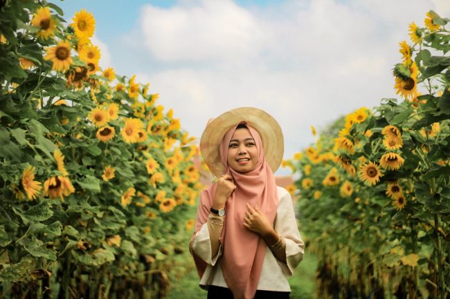 Kebun Bunga Matahari Rempoah via Aamriyanto.blogspotcom, 1. Objek Wisata Terkenal Baturaden di Purwokerto, 2. Tempat Wisata Alam Curug Gede di Purwokerto, 3. Objek Wisata Alam Air Terjun Curug Ceheng di Purwokerto, 4. Tempat Wisata Seru di Baturraden Adventure Forest Purwokerto, 5. Objek Wisata Air hangat belerang di Pancuran 7 di Purwokerto, 6. Tempat Wisata Seru Telaga sunyi di Purwokerto, 7. Objek Wisata Alam Curug Cipendok, 8. Objek Wisata Religi Gua Maria Kaliori di Purwokerto, 9. Wisata Kuliner Mendoan khas Purwokerto, 10. Destinasi Wisata Menantang Mendaki Gunung Slamet, 11. Tempat Wisata Seru Pemandian Kalibacin , 12. Tempat Wisata Keluarga Batur Agung di Purwokerto (Sudah Tutup), 13. Tempat Rekreasi Keluarga Telaga Pucung , 14. Monumen Panglima Besar Jenderal Sudirman , 15. Wahana Rekreasi Dreamland Park Pancasan di Purwokerto, 16. Wahana Permainan Seru Crossworld Paintball, 17. Nyantai di Alun-alun Lama Kota Banyumas, 18. Serunya Liburan di Depo Bay Depo Pelita Purwokerto, 19. Objek Wisata Terbaru Curug Nangga Di Banyumas, 20. Bukit Watu Meja, 21. Museum Bank Rakyat Indonesia, 22. Wisata Bendungan Gerak Serayu, 23. Tempat Wisata Alam Bukit Tranggulasih Purwokerto, 24. Liburan Seru ke Batur Agung Mount of Fun Purwokerto, 25. Wisata Alam Curug Gomblang di Purwokerto, 26. Curug Bayan, 27. Curug Telu, 28. Bukit Bintang Baturaden, 29. Wisata Alam Pancuran 3 Purwokerto, 30. Miniatur Dunia Purwokerto (Small World), 31. Bukit Pandang Munggang, 32. Puncak Dinar, 33. Bukit Gadog, 34. Kebun Bunga Matahari Rempoah, 35. Bukit Agaran, 36. Hutan Pinus Limpakuwus, 37. Curug Pinang, 38. The Forest Island, 39. The Village Purwokerto, 40. Bumi Perkemahan Wana Wisata Baturaden, 41. Taman Kaloka Widya Mandala