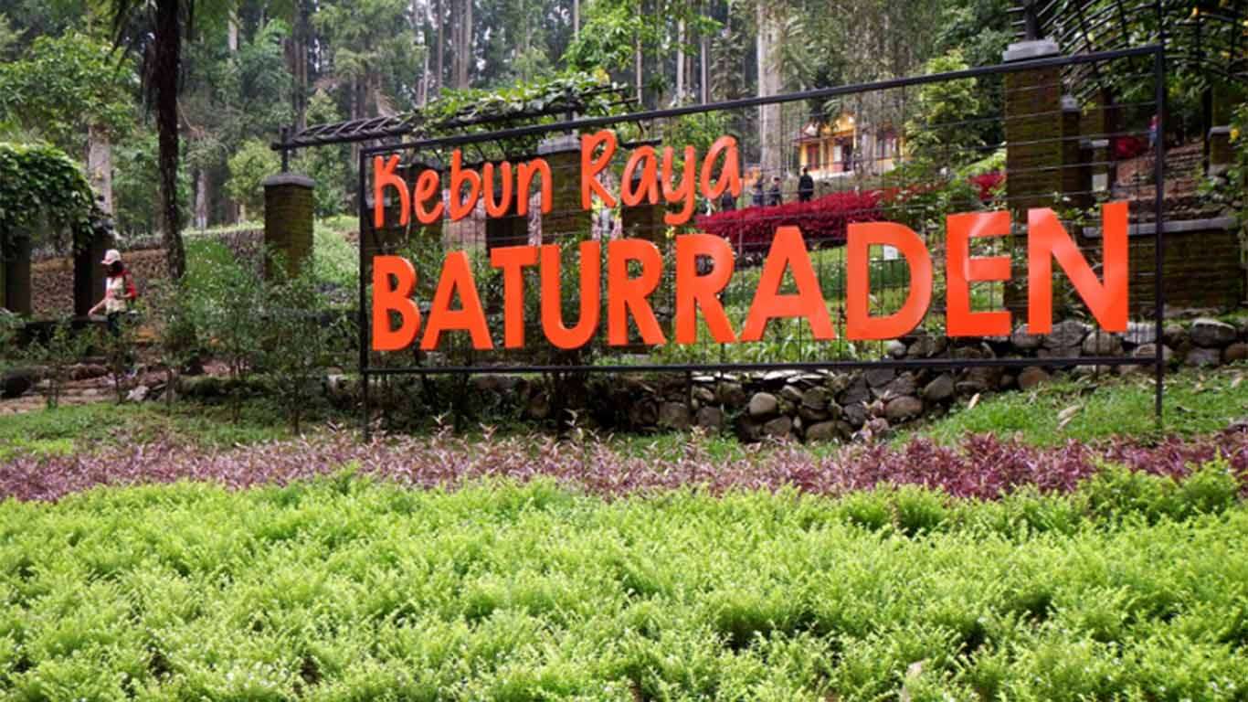 Kebun Raya Baturraden, 1. Miniatur Dunia Purwokerto, 2. Baturaden, 3. Baturraden Adventure Forest, 4. Pancuran 3, 5. Kebun Raya Baturraden, 6. Pancuran 7, 7. Goa Sarabadak, 8. Telaga Sunyi, 9. Curug Telu, 10. Bukit Bintang Baturraden, 11. Curug Bayan, 12. Curug Ceheng, 13. Curug Kedung Lesung, 14. Curug Nangga, 15. Curug Cipendok, 16. Hutan Pinus Limpakuwus, 17. Curug Jenggala Kalipagu, 18. Air Terjun Baturaden GandaTapa, 19. Curug Gede, 20. Curug Gomblang, 21. Desa Wisata Ketenger, 22. Gunung Slamet, 23. Bukit Pandang Munggang, 24. Bukit Watu Meja, 25. Sendang Bidadari, 26. Kebun Bunga Matahari Rempoah, 27. Bukit Agaran, 28. Bukit Tranggulasih, 29. Puncak Dinar, 30. Bukit Gadog, 31. Lokawisata Baturaden, 32. Mandala Wisata Baturaden, 33. Dreamland Waterpark Ajibarang, 34. Alun – alun Purwokerto, 35. Taman Rekreasi Andhang Pangrenan, 36. Kebun Ku Waterpark, 37. Taman Satria, 38. Taman Balai Kemambang, 39. Wisata Batur Agung, 40. Museum Bank Rakyat Indonesia, 41. Museum Wayang Sendang Mas, 42. Monumen Gatot Subroto, 43. Monumen Sepoer, 44. Monument dan Museum Panglima Besar Jenderal Soedirman, 45. Masjid Saka Tunggal Banyumas, 46. Makam Panembahan Kalibening, 47. Klenteng Hok Tek Bio Pasar Wage, 48. Gua Maria Kaliori, 49. Telaga Pucung, 50. Depo Bay Depo Pelita, 51. Wisata Husada Kalibacin, 52. Bendung Gerak Serayu Gambarsari, 53. Curug Carang, 54. Curug Cidadap Semaya, 55. Curug Wanasuta, 56. Curug Jumeneng, 57. Curug Kembar, 58. Curug Lawa, 59. Curug Lima Kedungbanteng, 60. Curug Penganten Baturaden, 61. Curug Sebrangan, 62. Curug Tebela, 63. Curug Urang, 64. Rumah Pohon Puncak Selok, 65. Curug Grenjang, 66. Curug Lawang, 67. Curug Juneng