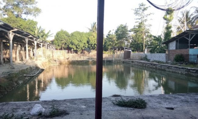 Kolam Pemancingan Wanguk, 1. Pantai Dadap, 2. Wisata Pohon Randu Gede, 3. Jembatan Terusan Indramayu, 4. Scince Center Mutiara Bangsa, 5. Pulau Biawak Indramayu, 6. Taman Tjimanoek, 7. Waduk Cipancuh Indramayu, 8. Hutan Mangrove Karangsong, 9. Tugu Perjuangan, 10. Pantai Glayem, 11. Agung Fantasi Waterpark, 12. Kolam Pemancingan Wanguk, 13. Alun – alun Indramayu, 14. Situ Bolang, 15. Situs Buyut Banjar, 16. Pantai Balongan Indah, 17. Pantai Tanah Merah Eretan, 18. Taman Rusa Bumi Patra, 19. Wisata Tiga Bintang Firdaus, 20. Agung Fantasi water Park, 21. Waterboom Bojongsari, 22. Pantai Eretan, 23. Agrowisata Mangga, 24. Pantai Tebing Patrol, 25. Pantai Cibugel, 26. Pantai Solikin, 27. Pantai Limbangan, 28. Waterboom Tirta Djaya, 29. Curug Citayam Indramayu, 30. Masjid Agung Indramayu, 31. Pantai Rembat, 32. Monumen Bumi Patra, 33. Pantai Karangsong, 34. Pantai Tirtamaya