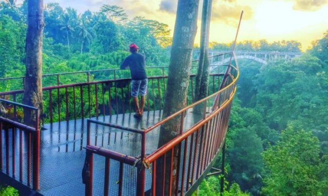 Lembah Tanah Wuk via Kintamani, 1. Ekowisata Mangrove Wanasari, 2. Sangeh Monkey Forest, 3. New Kuta Green Park, 4. Circus Waterpark Kuta, 5. Pantai Jerman, 6. Pantai Kelan, 7. Pantai Muaya, 8. Pantai Mimpi Pondok Pemuda, 9. Pantai Tegal Wangi, 10. Pantai Balangan, 11. Tanjung Balangan, 12. Pantai Dreamland, 13. Pantai Pemutih, 14. Pantai Bingin, 15. Pantai Padang – Padang, 16. Pantai Labuan Sait, 18. Pantai Suluban, 19. Pantai Nyang – Nyang, 20. Pantai Nunggalan, 21. Pantai Karma Kandara, 22. Pantai Melasti, 23. Pantai Batu pageh, 24. Pantai Pandawa, 25. Pantai Gunung Payung, 26. Pantai Sawangan, 27. Pantai Geger, 28. Pantai Mengiat, 29. Pantai Segara Samuh, 30. Pantai Selagan Nusa Dua, 31. Pantai Tanjung Benoa, 32. Air Terjun Nungnung, 33. Air Terjun Bidadari Ayung, 34. Sungai Ayung, 35. Air Terjun Batu Lantang, 36. Air Terjun Sulangi, 37. Patung Dewa Ruci, 38. Kawasan Pura Luhur Uluwatu, 39. Pesawat Bengong, 40. Nirmala Waterpark Ungasan, 41. Taman Satria Gatotkaca, 42. Joger Kuta, 43. Penangkaran Penyu Deluang Sari, 44. Taman Budaya Garuda Wisnu Kencana, 45. Bali Paragliding Tandem Flight, 46. Monumen Perjuangan Taman Mumbul, 47. Museum Becak Indonesia, 48. Museum Pasifika, 49. Dream Museum Zone, 50. Museum Kain, 51. Museum Kerang, 52. Museum Yadnya, 53. Hide N Seek, 54. Cubby House Kids Club, 55. Miniapolis Bali, 56. Pantai Timbis, 57. Pantai Dukuh, 58. Puja Mandala, 59. Pura Taman Ayun, 60. Taman Ngurah Rai Tuban, 61. Lembah Tanah Wuk, 62. Taman Mumbul, 63. Pantai Pererenan, 64. Banjar Umalas, 65. Waka Tangga, 66. Wisata Agro Pelaga, 67. Jembatan Tukad Bangkung, 68. Jimbaran Panorama Point, 69. Pura Petitenget, 70. Pantai Petitenget, 71. Pura Pucak Tedung, 72. Pura Sada Kapal, 73. Pura Batu Bolong, 74. Pantai Batu Bolong, 75. Pura Kancing Gumi, 76. Pura Pucak Mangu, 77. Desa Wisata Petang, 78. Ladang Bunga Gumilir, 79. Desa Wisata Baha, 80. Bumi Perkemahan Blahkiuh, 81. Pantai Seseh, 82. Pantai Derawan, 83. Pantai Batu Mejan, 84. Pantai Double Six, 85. Taman Rekreasi Bethesda, 86. Pantai Selasih, 87. Pantai Batu Belig, 88. Pantai Munggu, 89. Pantai Mengening, 90. Pantai Kayu Putih, 91. Pulau Nusa Dharma, 92. Pulau Peninsula, 93. Splash Waterpark, 94. Waterbom Bali, 95. Pantai Legian, 96. Pantai Seminyak, 97. Desa Wisata Bindu, 98. Bali Swing Bongkasa, 99. Elephant Camp Petang