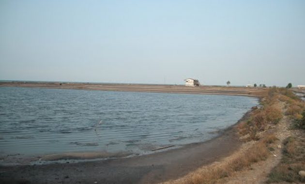 1. Pantai Dadap, 2. Wisata Pohon Randu Gede, 3. Jembatan Terusan Indramayu, 4. Scince Center Mutiara Bangsa, 5. Pulau Biawak Indramayu, 6. Taman Tjimanoek, 7. Waduk Cipancuh Indramayu, 8. Hutan Mangrove Karangsong, 9. Tugu Perjuangan, 10. Pantai Glayem, 11. Agung Fantasi Waterpark, 12. Kolam Pemancingan Wanguk, 13. Alun – alun Indramayu, 14. Situ Bolang, 15. Situs Buyut Banjar, 16. Pantai Balongan Indah, 17. Pantai Tanah Merah Eretan, 18. Taman Rusa Bumi Patra, 19. Wisata Tiga Bintang Firdaus, 20. Agung Fantasi water Park, 21. Waterboom Bojongsari, 22. Pantai Eretan, 23. Agrowisata Mangga, 24. Pantai Tebing Patrol, 25. Pantai Cibugel, 26. Pantai Solikin, 27. Pantai Limbangan, 28. Waterboom Tirta Djaya, 29. Curug Citayam Indramayu, 30. Masjid Agung Indramayu, 31. Pantai Rembat, 32. Monumen Bumi Patra, 33. Pantai Karangsong, 34. Pantai Tirtamaya