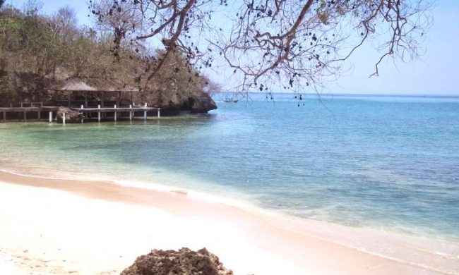 Pantai Mimpi Pondok Pemuda via Raskitatour, 1. Ekowisata Mangrove Wanasari, 2. Sangeh Monkey Forest, 3. New Kuta Green Park, 4. Circus Waterpark Kuta, 5. Pantai Jerman, 6. Pantai Kelan, 7. Pantai Muaya, 8. Pantai Mimpi Pondok Pemuda, 9. Pantai Tegal Wangi, 10. Pantai Balangan, 11. Tanjung Balangan, 12. Pantai Dreamland, 13. Pantai Pemutih, 14. Pantai Bingin, 15. Pantai Padang – Padang, 16. Pantai Labuan Sait, 18. Pantai Suluban, 19. Pantai Nyang – Nyang, 20. Pantai Nunggalan, 21. Pantai Karma Kandara, 22. Pantai Melasti, 23. Pantai Batu pageh, 24. Pantai Pandawa, 25. Pantai Gunung Payung, 26. Pantai Sawangan, 27. Pantai Geger, 28. Pantai Mengiat, 29. Pantai Segara Samuh, 30. Pantai Selagan Nusa Dua, 31. Pantai Tanjung Benoa, 32. Air Terjun Nungnung, 33. Air Terjun Bidadari Ayung, 34. Sungai Ayung, 35. Air Terjun Batu Lantang, 36. Air Terjun Sulangi, 37. Patung Dewa Ruci, 38. Kawasan Pura Luhur Uluwatu, 39. Pesawat Bengong, 40. Nirmala Waterpark Ungasan, 41. Taman Satria Gatotkaca, 42. Joger Kuta, 43. Penangkaran Penyu Deluang Sari, 44. Taman Budaya Garuda Wisnu Kencana, 45. Bali Paragliding Tandem Flight, 46. Monumen Perjuangan Taman Mumbul, 47. Museum Becak Indonesia, 48. Museum Pasifika, 49. Dream Museum Zone, 50. Museum Kain, 51. Museum Kerang, 52. Museum Yadnya, 53. Hide N Seek, 54. Cubby House Kids Club, 55. Miniapolis Bali, 56. Pantai Timbis, 57. Pantai Dukuh, 58. Puja Mandala, 59. Pura Taman Ayun, 60. Taman Ngurah Rai Tuban, 61. Lembah Tanah Wuk, 62. Taman Mumbul, 63. Pantai Pererenan, 64. Banjar Umalas, 65. Waka Tangga, 66. Wisata Agro Pelaga, 67. Jembatan Tukad Bangkung, 68. Jimbaran Panorama Point, 69. Pura Petitenget, 70. Pantai Petitenget, 71. Pura Pucak Tedung, 72. Pura Sada Kapal, 73. Pura Batu Bolong, 74. Pantai Batu Bolong, 75. Pura Kancing Gumi, 76. Pura Pucak Mangu, 77. Desa Wisata Petang, 78. Ladang Bunga Gumilir, 79. Desa Wisata Baha, 80. Bumi Perkemahan Blahkiuh, 81. Pantai Seseh, 82. Pantai Derawan, 83. Pantai Batu Mejan, 84. Pantai Double Six, 85. Taman Rekreasi Bethesda, 86. Pantai Selasih, 87. Pantai Batu Belig, 88. Pantai Munggu, 89. Pantai Mengening, 90. Pantai Kayu Putih, 91. Pulau Nusa Dharma, 92. Pulau Peninsula, 93. Splash Waterpark, 94. Waterbom Bali, 95. Pantai Legian, 96. Pantai Seminyak, 97. Desa Wisata Bindu, 98. Bali Swing Bongkasa, 99. Elephant Camp Petang