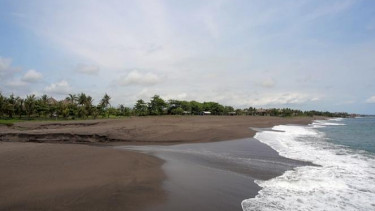 Pantai Selasih via Viva, 1. Ekowisata Mangrove Wanasari, 2. Sangeh Monkey Forest, 3. New Kuta Green Park, 4. Circus Waterpark Kuta, 5. Pantai Jerman, 6. Pantai Kelan, 7. Pantai Muaya, 8. Pantai Mimpi Pondok Pemuda, 9. Pantai Tegal Wangi, 10. Pantai Balangan, 11. Tanjung Balangan, 12. Pantai Dreamland, 13. Pantai Pemutih, 14. Pantai Bingin, 15. Pantai Padang – Padang, 16. Pantai Labuan Sait, 18. Pantai Suluban, 19. Pantai Nyang – Nyang, 20. Pantai Nunggalan, 21. Pantai Karma Kandara, 22. Pantai Melasti, 23. Pantai Batu pageh, 24. Pantai Pandawa, 25. Pantai Gunung Payung, 26. Pantai Sawangan, 27. Pantai Geger, 28. Pantai Mengiat, 29. Pantai Segara Samuh, 30. Pantai Selagan Nusa Dua, 31. Pantai Tanjung Benoa, 32. Air Terjun Nungnung, 33. Air Terjun Bidadari Ayung, 34. Sungai Ayung, 35. Air Terjun Batu Lantang, 36. Air Terjun Sulangi, 37. Patung Dewa Ruci, 38. Kawasan Pura Luhur Uluwatu, 39. Pesawat Bengong, 40. Nirmala Waterpark Ungasan, 41. Taman Satria Gatotkaca, 42. Joger Kuta, 43. Penangkaran Penyu Deluang Sari, 44. Taman Budaya Garuda Wisnu Kencana, 45. Bali Paragliding Tandem Flight, 46. Monumen Perjuangan Taman Mumbul, 47. Museum Becak Indonesia, 48. Museum Pasifika, 49. Dream Museum Zone, 50. Museum Kain, 51. Museum Kerang, 52. Museum Yadnya, 53. Hide N Seek, 54. Cubby House Kids Club, 55. Miniapolis Bali, 56. Pantai Timbis, 57. Pantai Dukuh, 58. Puja Mandala, 59. Pura Taman Ayun, 60. Taman Ngurah Rai Tuban, 61. Lembah Tanah Wuk, 62. Taman Mumbul, 63. Pantai Pererenan, 64. Banjar Umalas, 65. Waka Tangga, 66. Wisata Agro Pelaga, 67. Jembatan Tukad Bangkung, 68. Jimbaran Panorama Point, 69. Pura Petitenget, 70. Pantai Petitenget, 71. Pura Pucak Tedung, 72. Pura Sada Kapal, 73. Pura Batu Bolong, 74. Pantai Batu Bolong, 75. Pura Kancing Gumi, 76. Pura Pucak Mangu, 77. Desa Wisata Petang, 78. Ladang Bunga Gumilir, 79. Desa Wisata Baha, 80. Bumi Perkemahan Blahkiuh, 81. Pantai Seseh, 82. Pantai Derawan, 83. Pantai Batu Mejan, 84. Pantai Double Six, 85. Taman Rekreasi Bethesda, 86. Pantai Selasih, 87. Pantai Batu Belig, 88. Pantai Munggu, 89. Pantai Mengening, 90. Pantai Kayu Putih, 91. Pulau Nusa Dharma, 92. Pulau Peninsula, 93. Splash Waterpark, 94. Waterbom Bali, 95. Pantai Legian, 96. Pantai Seminyak, 97. Desa Wisata Bindu, 98. Bali Swing Bongkasa, 99. Elephant Camp Petang