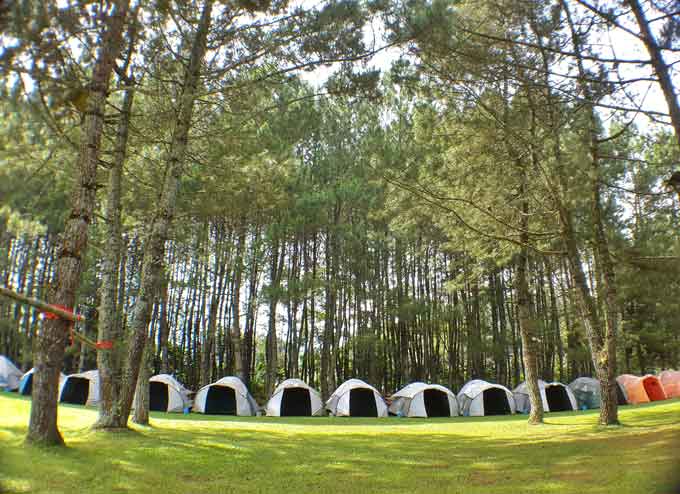 Pine Forest Camp, 1. Farm House Susu Lembang, 2. Floating Market, Lembang, 3. Orchid Forest, 4. Dusun Bambu, 5. Dago Dream Park, 6. Terminal Wisata Grafika Cikole, 7. Kebun Bunga Begonia, 8. De Ranch, 9. Tebing Keraton, 10. The Lodge Maribaya, 11. Gunung Tangkuban Perahu, 12. Hutan Pinus PAL 16, 13. Stone Garden Citatah, 14. Gunung Putri, 15. Taman Lembah Dewata, 16. Jendela Alam, 17. Natural Hill, 18. Tafso Barn, 19. Curug Tilu Leuwi Opat, 20. Curug Layung &amp; Camping Ground, 21. Gantolle Paralayang Singajaya Cihampelas, 22. Puncak Eurad Pingping, 23. Danau Sanghyang Heuleut, 24. Sendang Geulis Kahuripan, 25. Gunung Batu, 26. Goa Pawon, 27. Curug Cimahi atau Curug Pelangi, 28. Tebing Citatah, 29. Gunung Bendera Padalarang, 30. Maribaya Natural Hot Spring Resort &amp; Glamping Tent, 31. Curug Malela, 32. Curug Penganten, 33. Pine Forest Camp, 34. Danau Wakadobol Batujajar, 35. Gunung Hawu, 36. Kebun Teh Sukawana, 37. Curug Aseupan, 38. Curug Bugbrug, 39. Wana Wisata Pasir Ipis, 40. Sungai Cikahuripan, Green Canyonnya Bandung, 41. Curug Ngebul, 42. Pemandian Air Panas Nagrak, 43. Ganesha H Equestrian, 44. Curug Buana Rongga, 45. Curug Omas, 46. Curug Sumpel, 47. Curug Kuya, 48. Curug Katumiri