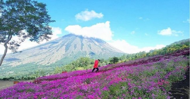 Puncak Gunung Inerie, 1. Kampung Adat Bena, 2. Taman laut Siung 17 Pulau, 3. Pemandian Air Panas Mangeruda, 4. Wisata Air Terjun Ogi, 5. Puncak Gunung Inerie, 6. Menikmati Senja Di Puncak Bukit Wolobobo, 7. Panorama Manulalu, 8. Air Panas Boba Soka, 9. Pantai Riung, 10. Batu Kodok, 11. Danau Wawomudha, 12. Kampung Adat Belaraghi, 13. Pantai Leko Ena, 14. Air Terjun Wae Roa, 15. Pantai Ena Bhara, 16. Pulau Rutong, 17. Pulau Kelelawar Ontoloe