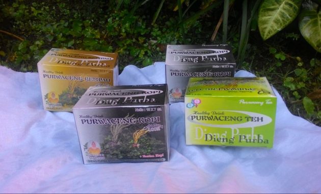 Purwaceng via bukalapakcom, 1. Carica, 2. Batik Tulis Gumelem, 3. Purwaceng, 4. Dodol Salak, 6. Sirup Salak, 7. Keripik Salak, 8. Kopi Biji Salak, 9. Keripik Kentang, 10. Buah Salak, 11. Buntil, 12. Apem, 13. Dawet Ayu, 14. Bakso Ketupat, 15. Poci