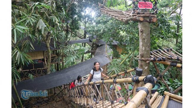 Rumah Pohon Temega via Tribun Bali, 1. Air Terjun Lembah Jian, 2. Air Terjun Bertingkat Gitgit, 3. Air Panas Banjar, 4. Air Terjun Mekalongan, 5. Air Terjun Lemukih, 6. Air Terjun yeh Mampeh, 7. Air Terjun Melanting, 8. Air Terjun Munduk, 9. Air Terjun Banyumala, 10. Air Terjun Tembok Barak, 11. Air Terjun Aling – Aling, 12. Air Terjun Jambangan, 13. Air Terjun Sekumpul, 14. Air Terjun Carat Kecil, 15. Air Terjun Carat Besar, 16. Bali Handara Kosaido, 17. Air Terjun Kroya, 18. Air Terjun Yeh Salem, 19. Air Terjun Jembong, 20. Air Terjun Wana Ayu, 21. Air Terjun Tinggarsari, 22. Air Terjun Pucak Manik, 23. Air Terjun Sing – Sing, 24. Air Terjun Colek Pamor, 25. Air Terjun Ceburan, 26. Air Terjun Pucuk, 27. Air Terjun Kembar Sambangan, 28. Air Terjun Cemara, 29. Air Terjun Canging, 30. Air Terjun Dedari, 31. Air Terjun Fiji, 32. Air Terjun Bengbengan, 33. Air Terjun Amer Pakisan, 34. Air Terjun Yeh Bayah, 35. Pantai Batu Sungu, 36. Pantai Penuktukan, 37. Pantai Umeanyar, 38. Pantai Penimbangan, 39. Pantai Banyuwedang, 40. Air Panas Banyuwedang, 41. Pantai Gondol, 42. Pantai Pemuteran, 43. Pantai Goris Pejarakan, 44. Pantai Kerobokan, 45. Pantai Lovina, 46. Pantai Batu Ampar Pejarakan, 47. Vihara Buddha Banjar, 48. Pemandian Air Sanih, 49. Taman Nasional Bali Barat, 50. Ex Pelabuhan Buleleng, 51. Danau Buyan, 52. Danau Tamblingan, 53. Ayunan dan Anjungan Wanagiri, 54. Wisata Desa Kuno Sembiran, 55. Pemandangan Sekitar Pura Bukit Pucak Sakti, 56. Wisata Desa Julah, 57. Situs Batu Gambir Upit, 58. Gedong Kirtya, 59. Pantai Celagi Bantes, 60. Pura Ponjok Batu, 61. Museum Buleleng, 62. Rumah Pohon Temega, 63. Desa Wisata Bulian, 64. Krisna Fantastic Land, 65. Pasar Anyar, 66. Pulau Menjangan, 67. Budidaya Mutiara Penyambangan, 68. Pura Dalem Segara Madu, 69. Pura Beji Sangsit, 70. Bukit Batu Kursi, 71. Pulau Putih, 72. Desa Wisata Sidetapa, 73. Desa Wisata Cempage, 74. Kubu Hobbit Pedawa, 75. Menara Bambu Tigawasa, 76. Pantai Sanggalangit, 77. Pantai Pacung, 78. Wisata Selfie Madenan, 79. Air Terjun Bertingkat Silangjana, 80. Pantai Tukad Puyung Bukti, 81. Pantai Anturan, 82. Pemandian Mumbul Anturan, 83. Bendungan Tirab Ularan, 84. Bendungan Gerogak, 85. Terasering Busungbiu, 86. Desa Wisata Bebetin, 87. Air Terjun Seseran, 88. Desa Wisata Kaliasem, 89. Bukit Teletubbies Kubutambahan, 90. Agrowisata Sepang, 91. Desa Wisata Subuk, 92. Air Terjun Umejero, 93. Agrowisata Umejero, 94. Taman Kota Singaraja, 95. Agrowisata Anggur Banyupoh, 96. Pura Pulaki, 97. Pantai Pulaki, 98. Pelabuhan Celukan Bawang, 99. Pantai Sangsit