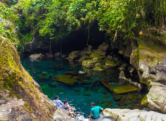 Telaga Sunyi, 1. Miniatur Dunia Purwokerto, 2. Baturaden, 3. Baturraden Adventure Forest, 4. Pancuran 3, 5. Kebun Raya Baturraden, 6. Pancuran 7, 7. Goa Sarabadak, 8. Telaga Sunyi, 9. Curug Telu, 10. Bukit Bintang Baturraden, 11. Curug Bayan, 12. Curug Ceheng, 13. Curug Kedung Lesung, 14. Curug Nangga, 15. Curug Cipendok, 16. Hutan Pinus Limpakuwus, 17. Curug Jenggala Kalipagu, 18. Air Terjun Baturaden GandaTapa, 19. Curug Gede, 20. Curug Gomblang, 21. Desa Wisata Ketenger, 22. Gunung Slamet, 23. Bukit Pandang Munggang, 24. Bukit Watu Meja, 25. Sendang Bidadari, 26. Kebun Bunga Matahari Rempoah, 27. Bukit Agaran, 28. Bukit Tranggulasih, 29. Puncak Dinar, 30. Bukit Gadog, 31. Lokawisata Baturaden, 32. Mandala Wisata Baturaden, 33. Dreamland Waterpark Ajibarang, 34. Alun – alun Purwokerto, 35. Taman Rekreasi Andhang Pangrenan, 36. Kebun Ku Waterpark, 37. Taman Satria, 38. Taman Balai Kemambang, 39. Wisata Batur Agung, 40. Museum Bank Rakyat Indonesia, 41. Museum Wayang Sendang Mas, 42. Monumen Gatot Subroto, 43. Monumen Sepoer, 44. Monument dan Museum Panglima Besar Jenderal Soedirman, 45. Masjid Saka Tunggal Banyumas, 46. Makam Panembahan Kalibening, 47. Klenteng Hok Tek Bio Pasar Wage, 48. Gua Maria Kaliori, 49. Telaga Pucung, 50. Depo Bay Depo Pelita, 51. Wisata Husada Kalibacin, 52. Bendung Gerak Serayu Gambarsari, 53. Curug Carang, 54. Curug Cidadap Semaya, 55. Curug Wanasuta, 56. Curug Jumeneng, 57. Curug Kembar, 58. Curug Lawa, 59. Curug Lima Kedungbanteng, 60. Curug Penganten Baturaden, 61. Curug Sebrangan, 62. Curug Tebela, 63. Curug Urang, 64. Rumah Pohon Puncak Selok, 65. Curug Grenjang, 66. Curug Lawang, 67. Curug Juneng
