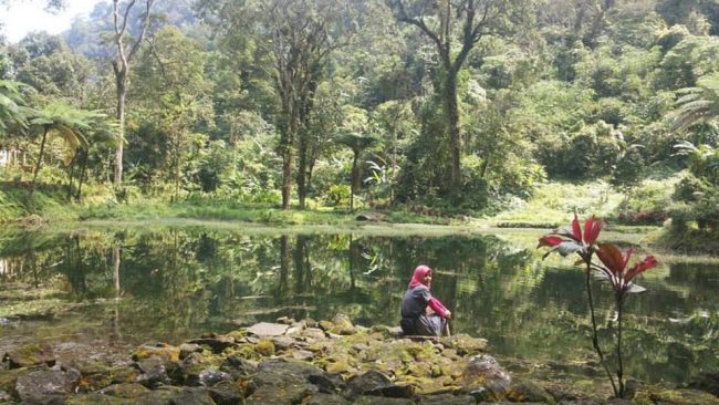 Telaga Pucung via Lihat, 1. Miniatur Dunia Purwokerto, 2. Baturaden, 3. Baturraden Adventure Forest, 4. Pancuran 3, 5. Kebun Raya Baturraden, 6. Pancuran 7, 7. Goa Sarabadak, 8. Telaga Sunyi, 9. Curug Telu, 10. Bukit Bintang Baturraden, 11. Curug Bayan, 12. Curug Ceheng, 13. Curug Kedung Lesung, 14. Curug Nangga, 15. Curug Cipendok, 16. Hutan Pinus Limpakuwus, 17. Curug Jenggala Kalipagu, 18. Air Terjun Baturaden GandaTapa, 19. Curug Gede, 20. Curug Gomblang, 21. Desa Wisata Ketenger, 22. Gunung Slamet, 23. Bukit Pandang Munggang, 24. Bukit Watu Meja, 25. Sendang Bidadari, 26. Kebun Bunga Matahari Rempoah, 27. Bukit Agaran, 28. Bukit Tranggulasih, 29. Puncak Dinar, 30. Bukit Gadog, 31. Lokawisata Baturaden, 32. Mandala Wisata Baturaden, 33. Dreamland Waterpark Ajibarang, 34. Alun – alun Purwokerto, 35. Taman Rekreasi Andhang Pangrenan, 36. Kebun Ku Waterpark, 37. Taman Satria, 38. Taman Balai Kemambang, 39. Wisata Batur Agung, 40. Museum Bank Rakyat Indonesia, 41. Museum Wayang Sendang Mas, 42. Monumen Gatot Subroto, 43. Monumen Sepoer, 44. Monument dan Museum Panglima Besar Jenderal Soedirman, 45. Masjid Saka Tunggal Banyumas, 46. Makam Panembahan Kalibening, 47. Klenteng Hok Tek Bio Pasar Wage, 48. Gua Maria Kaliori, 49. Telaga Pucung, 50. Depo Bay Depo Pelita, 51. Wisata Husada Kalibacin, 52. Bendung Gerak Serayu Gambarsari, 53. Curug Carang, 54. Curug Cidadap Semaya, 55. Curug Wanasuta, 56. Curug Jumeneng, 57. Curug Kembar, 58. Curug Lawa, 59. Curug Lima Kedungbanteng, 60. Curug Penganten Baturaden, 61. Curug Sebrangan, 62. Curug Tebela, 63. Curug Urang, 64. Rumah Pohon Puncak Selok, 65. Curug Grenjang, 66. Curug Lawang, 67. Curug Juneng