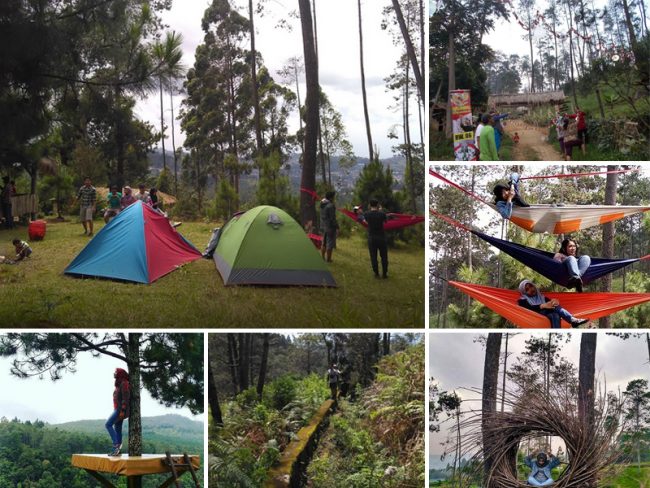 Wanawisata Pasir Ipis, 1. Farm House Susu Lembang, 2. Floating Market, Lembang, 3. Orchid Forest, 4. Dusun Bambu, 5. Dago Dream Park, 6. Terminal Wisata Grafika Cikole, 7. Kebun Bunga Begonia, 8. De Ranch, 9. Tebing Keraton, 10. The Lodge Maribaya, 11. Gunung Tangkuban Perahu, 12. Hutan Pinus PAL 16, 13. Stone Garden Citatah, 14. Gunung Putri, 15. Taman Lembah Dewata, 16. Jendela Alam, 17. Natural Hill, 18. Tafso Barn, 19. Curug Tilu Leuwi Opat, 20. Curug Layung &amp; Camping Ground, 21. Gantolle Paralayang Singajaya Cihampelas, 22. Puncak Eurad Pingping, 23. Danau Sanghyang Heuleut, 24. Sendang Geulis Kahuripan, 25. Gunung Batu, 26. Goa Pawon, 27. Curug Cimahi atau Curug Pelangi, 28. Tebing Citatah, 29. Gunung Bendera Padalarang, 30. Maribaya Natural Hot Spring Resort &amp; Glamping Tent, 31. Curug Malela, 32. Curug Penganten, 33. Pine Forest Camp, 34. Danau Wakadobol Batujajar, 35. Gunung Hawu, 36. Kebun Teh Sukawana, 37. Curug Aseupan, 38. Curug Bugbrug, 39. Wana Wisata Pasir Ipis, 40. Sungai Cikahuripan, Green Canyonnya Bandung, 41. Curug Ngebul, 42. Pemandian Air Panas Nagrak, 43. Ganesha H Equestrian, 44. Curug Buana Rongga, 45. Curug Omas, 46. Curug Sumpel, 47. Curug Kuya, 48. Curug Katumiri