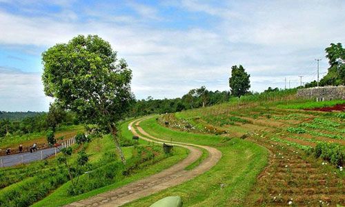 Wisata Agro Pelaga via Balitoursclub, 1. Ekowisata Mangrove Wanasari, 2. Sangeh Monkey Forest, 3. New Kuta Green Park, 4. Circus Waterpark Kuta, 5. Pantai Jerman, 6. Pantai Kelan, 7. Pantai Muaya, 8. Pantai Mimpi Pondok Pemuda, 9. Pantai Tegal Wangi, 10. Pantai Balangan, 11. Tanjung Balangan, 12. Pantai Dreamland, 13. Pantai Pemutih, 14. Pantai Bingin, 15. Pantai Padang – Padang, 16. Pantai Labuan Sait, 18. Pantai Suluban, 19. Pantai Nyang – Nyang, 20. Pantai Nunggalan, 21. Pantai Karma Kandara, 22. Pantai Melasti, 23. Pantai Batu pageh, 24. Pantai Pandawa, 25. Pantai Gunung Payung, 26. Pantai Sawangan, 27. Pantai Geger, 28. Pantai Mengiat, 29. Pantai Segara Samuh, 30. Pantai Selagan Nusa Dua, 31. Pantai Tanjung Benoa, 32. Air Terjun Nungnung, 33. Air Terjun Bidadari Ayung, 34. Sungai Ayung, 35. Air Terjun Batu Lantang, 36. Air Terjun Sulangi, 37. Patung Dewa Ruci, 38. Kawasan Pura Luhur Uluwatu, 39. Pesawat Bengong, 40. Nirmala Waterpark Ungasan, 41. Taman Satria Gatotkaca, 42. Joger Kuta, 43. Penangkaran Penyu Deluang Sari, 44. Taman Budaya Garuda Wisnu Kencana, 45. Bali Paragliding Tandem Flight, 46. Monumen Perjuangan Taman Mumbul, 47. Museum Becak Indonesia, 48. Museum Pasifika, 49. Dream Museum Zone, 50. Museum Kain, 51. Museum Kerang, 52. Museum Yadnya, 53. Hide N Seek, 54. Cubby House Kids Club, 55. Miniapolis Bali, 56. Pantai Timbis, 57. Pantai Dukuh, 58. Puja Mandala, 59. Pura Taman Ayun, 60. Taman Ngurah Rai Tuban, 61. Lembah Tanah Wuk, 62. Taman Mumbul, 63. Pantai Pererenan, 64. Banjar Umalas, 65. Waka Tangga, 66. Wisata Agro Pelaga, 67. Jembatan Tukad Bangkung, 68. Jimbaran Panorama Point, 69. Pura Petitenget, 70. Pantai Petitenget, 71. Pura Pucak Tedung, 72. Pura Sada Kapal, 73. Pura Batu Bolong, 74. Pantai Batu Bolong, 75. Pura Kancing Gumi, 76. Pura Pucak Mangu, 77. Desa Wisata Petang, 78. Ladang Bunga Gumilir, 79. Desa Wisata Baha, 80. Bumi Perkemahan Blahkiuh, 81. Pantai Seseh, 82. Pantai Derawan, 83. Pantai Batu Mejan, 84. Pantai Double Six, 85. Taman Rekreasi Bethesda, 86. Pantai Selasih, 87. Pantai Batu Belig, 88. Pantai Munggu, 89. Pantai Mengening, 90. Pantai Kayu Putih, 91. Pulau Nusa Dharma, 92. Pulau Peninsula, 93. Splash Waterpark, 94. Waterbom Bali, 95. Pantai Legian, 96. Pantai Seminyak, 97. Desa Wisata Bindu, 98. Bali Swing Bongkasa, 99. Elephant Camp Petang
