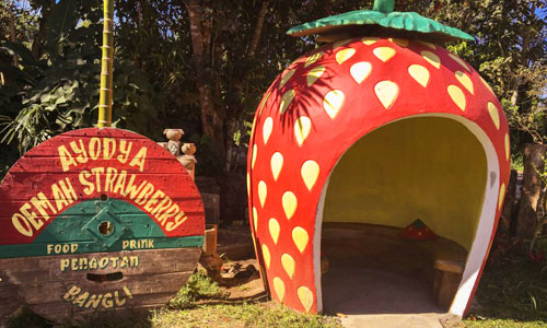 Wisata Ayodya Oemah Strawberry via balitoursclub