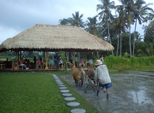 Wisata Desa Guliang kangin