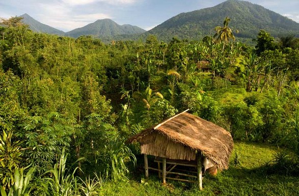 Wisata Pande’s Farm