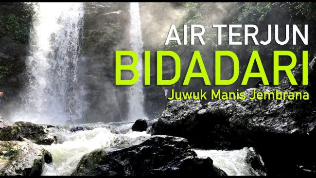 Air Terjun Bidadari via Youtube, 1. Pantai Perancak, 2. Wisata Pantai Medewi, 3. Pura Rambut Siwi, 4. Wisata Pantai Perancak Candikusuma, 5. Wisata Teluk Gilimanuk, 6. Wisata Monumen Lintas Laut Jawa – Bali, 7. Taman Nasional Bali Barat, 8. Wisata Bendungan Palasari, 9. Wisata Bunut Bolong, 10. Wisata Pantai Baluk Rening, 11. Wisata Pura Jati, 12. Wisata Pantai Delod Berawah, 13. Wisata Pantai Pengeragoan, 14. Wisata Pura Majapahit, 15. Wisata Museum Manusia Purba, 16. Wisata Air Tirta Lestari Gumbrih, 17. Wisata Desa Sangkaragung, 18. Wisata Rest Area Rambut Siwi, 19. Wisata Alun – Alun Jembrana, 20. Wisata Bendungan Benel, 21. Wisata Karang Sewu, 22. Wisata Desa Blimbing, 23. Wisata Makam Tua, 24. Wisata Rumah Panggung, 25. Wisata Kuliner Ayam Betutu, 26. Wisata Tukad Gelar, 27. Wisata Air Terjun Juwuk Manis, 28. Wisata Makepung, 29. Wisata Puncak Mawar, 30. Pantai Yeh Leh, 31. Pantai Yeh Kuning, 32. Pantai Candikusuma, 33. Wisata Pantai Pebuahan, 34. Wisata Taman Siwa, 35. Pelabuhan Perikanan Pengambengan, 36. Air Terjun Bidadari, 37. Wisata Pelabuhan Gilimanuk, 38. Puncak JR, 39. Wisata Green Cliff Yeh Embang Kangin, 40. Pantai Karang Impian, 41. Air Terjun Batu Belah Dewasana, 42. Waterpark Giri Buana, 43. Pura Jagatnatha