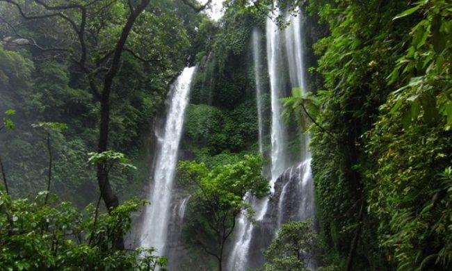 Air Terjun Pengempu via Okeozone, 1. Wisata Pura Ulun Danu Brata Bedugal, 2. Wisata Air Panas Angseri, 3. Wisata Air Panas Penatahan, 4. Wisata Air Panas Belulang, 5. Wisata Air Terjun Pujungan, 6. Wisata Pantai Beraban di Kediri, 7. Wisata Museum Subak, 8. Wisata Kebun Raya Bali, 9. Wisata Sawah Berundak Jatiluwih, 10. Wisata Danau Tamblingan, 11. Wisata Pantai Kedungu, 12. Wisata Pantai Soka Tabanan, 13. Wisata Pantai Pasut Tabanan, 14. Wisata Pantai Klecung, 15. Wisata Pantai Kelating, 16. Wisata Pantai Yeh Leh, 17. Wisata Kuliner Entil Pupuan, 18. Wisata Pantai Balian, 19. Wisata Hutan Monyet Alas Kedaton, 20. Wisata Patung Siwa Pura Malen, 21. Wisata Air Terjun Blahmantung, 22. Wisata Pantai Suraberata, 23. Wisata Pasar Kodok, 24. Wisata Kuliner Nasi sambel Bejek Matah, 25. Wisata Kuliner Nasi Angin, 26. Wisata Bedugul, 27. Wisata Pura Alas Kedaton Tabanan, 28. Wisata Pura Mekori Tabanan, 29. Wisata Pura Tanah Lot, 30. Wisata Puri Anyar Kerambitan, 31. Wisata Taman Kupu – Kupu, 32. Wisata Taman Pahlawan Margarana, 33. Wisata Kebun Buah Strawberry Bedugul, 34. Wisata Vihara Dharma Giri, 35. Wisata Pantai Nyanyi, 36. Wisata Puri Agung Kerambitan, 37. Wisata Pura Luhur Batukaru, 38. Wisata Lereng Gunung Batukaru, 39. Wisata Patung Leak Yeh Gangga, 40. Wisata Pantai Yeh Gangga, 41. Wisata Pura Batu Bolong, 42. Bali Tree Top Adventure Park, 43. Air Terjun Leke-leke, 44. Air Terjun Yeh Ho, 45. Air Terjun Blemantung, 46. Pantai Melasti Tabanan, 47. Sun Flowers Belayu, 48. Air Terjun Pengempu