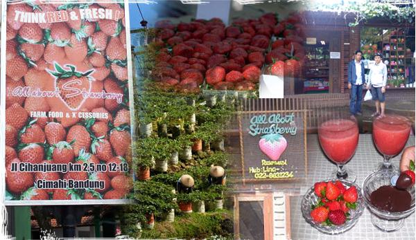 All About Strawberry, 1. Alam Wisata Cimahi, 2. Gunung Bohong, 3. All About Strawberry, 4. Taman Kartini, 5. Pasar Cimindi, 6. Rumah Bunga Rizal, 7. Kampung Adat Cireundeu, 8. Kolam Renang Brigif Cimahi, 9. Giggle Box Cimahi, 10. Pandiga Educreation Sport, 11. Masjid Agung Kota Cimahi, 12. Masjid Al-Baakhirah, 13. Taman Alun – Alun Cimahi, 14. Gedung The Historich, 15. Menara KA Cimahi, 16. Cimahi Mall, 17. Cimahi Techno Park, 18. Kafe Kupu – Kupu, 19. Kampung Buyut Cipageran, 20. Situ Ciseupan, 21. Rainbow Waterpark Cimahi, 22. Kolam Renang Ciawitali, 23. Kolam Renang Tirta Wira Yudha, 24. Taman Bunga Cihideung, 25. Pemandian Cipanas Nagrak Parongpong, 26. Wisata Kuda Paku Haji, 27. Taman Kupu – Kupu, 28. Curug Cimahi, 29. Ciwangun Indah Camp, 30. Curug Bugbrug, 31. Curug Tilu Leuwi Opat, 32. Curug Malela, 33. Natural Hill Cisarua, 34. Pasar Terapung Lembang, 35. Kampung Gajah Wonderland (Tutup Permanen)