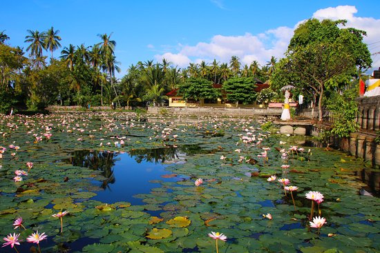 Lotus Lagoon Candidasa, 1. Wisata Air Terjun Yeh Poh, 2. Wisata Bukit Asmara, 3. Wisata Air Terjun Telaga Waja, 4. Wisata Masjid Baiturrahman, 5. Wisata Pura Bukit Gumang, 6. Wisata Air Terjun Jagasatru, 7. Wisata Gunung Dwangga, 8. Wisata Air Terjun Tibu Kresek, 9. Wisata Pantai Balina, 10. Wisata Rumah Coklat, 11. Wisata Telaga Waja Rafting, 12. Wisata Bukit Putung, 13. Wisata Desa Iseh, 14. Wisata Pura Besakih, 15. Wisata Bukit Jambul, 16. Wisata Air Terjun Tibu Tengah, 17. Wisata Air Terjun Yeh Labuh, 18. Wisata Banjar Bukit Tabunan, 19. Wisata Cepik Sidemen, 20.  Wisata Pantai Wates, 21. Wisata Jembatan Kuning Yeh Unda, 22. Wisata Air Terjun Tibumati, 23. Wisata Bukit Nampo Sibetan, 24.  Wisata Dermaga Tanah Ampo, 25. Wisata Pantai Jasri, 26. Wisata bendungan Yeh Unda Hulu, 27. Wisata Pantai Labuan Jelung, 28. Wisata Pantai Ujung, 29. Wisata Kuliner sate Lilit, 30. Wisata Kuliner Nasi Sela, 31. Wisata Pantai Pasih Kelod, 32. Wisata White Sand Beach, 33. Wisata Rumah Bambu Pengalon, 34. Wisata Pantai Sosro, 35. Wisata Pura Dalem Puri, 36. Wisata Warung Sunset Point, 37. Wisata Pantai Bias Tugel, 38. Wisata Pura Candidasa, 39. Wisata Blue Lagoon Beach, 40. Wisata Pura Silayukti, 41. Wisata Kuliner Plecing Telengis, 42. Wisata Pura Lempuyang, 43. Wisata Pura Pasar Agung, 44. Wisata Pantai Labuan Amuk, 45.  Wisata Taman Soekasada, 46. Wisata Tenun Ikat Bali Arta Nadi, 47. Wisata Bukit Asah Bugbug, 48. Wisata Kampung Muslim Kecicang Islam, 49. Wisata Gunung Agung, 50. Wisata Pantai Virgin, 51. Lotus Lagoon Candidasa, 52. Wisata Tenganan Pegringsingan, 53. Wisata Yeh Malet, 54. Wisata Pantai Tapak Lawang, 55. Wisata Puri Agung Karangasem, 56. Wisata Tirta Gangga, 57. Wisata Padangbai, 58. Wisata Rumah Pohon, 59. Wisata Agrowisata Abian Salak, 60. Wisata Pantai Jemeluk, 61. Wisata Pantai Tulamben, 62. Ayunan Sidemen Bali, 63. Diving dan Snorkeling di Pantai Amed, 64. Air Terjun Batu Angsel, 65. Padang Bunga Kasna, 66. Ladang Bunga Gemitir, 67. Rumah Pohon Bukit Lemped